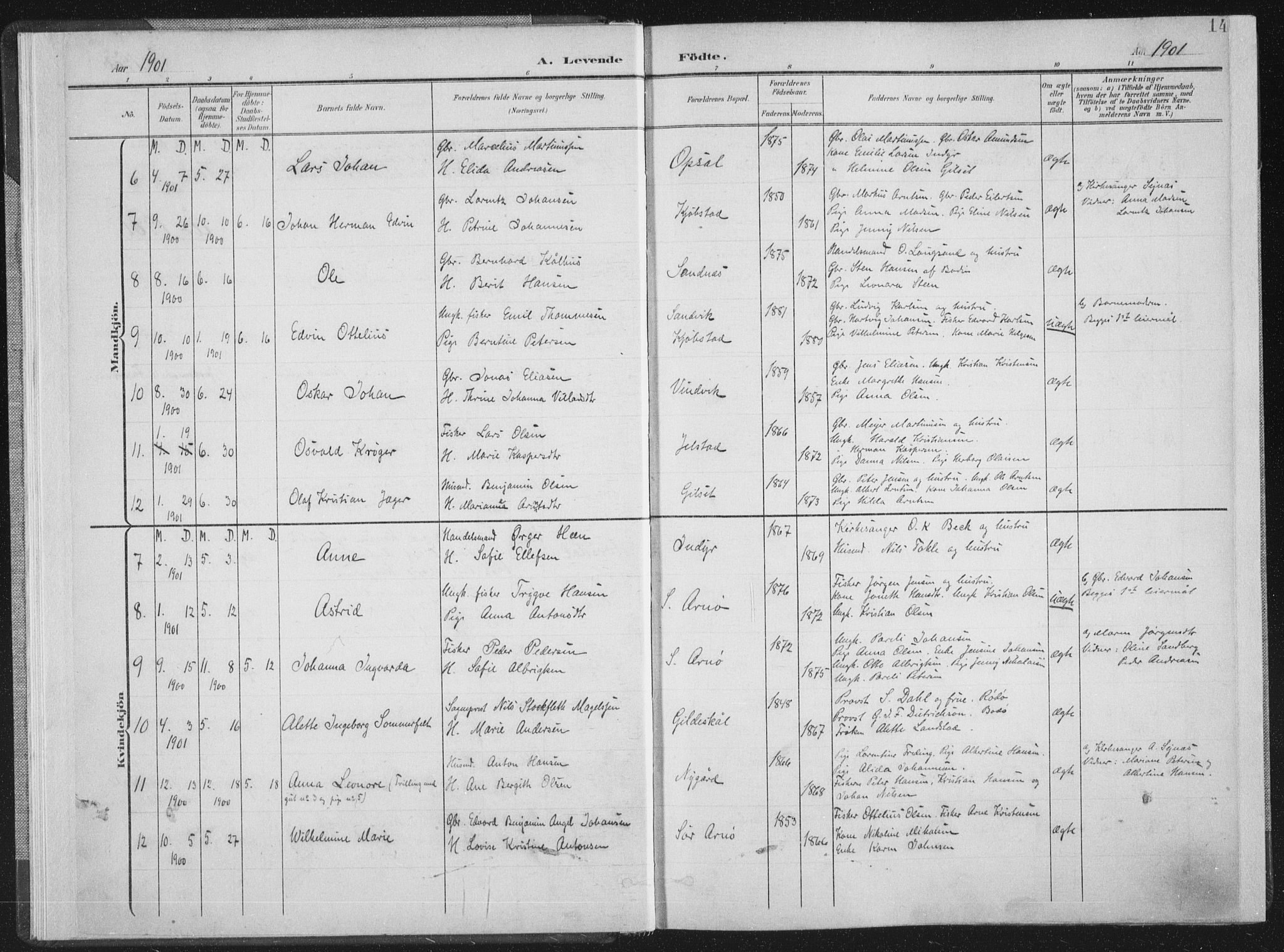 Ministerialprotokoller, klokkerbøker og fødselsregistre - Nordland, AV/SAT-A-1459/805/L0102: Parish register (official) no. 805A08I, 1900-1909, p. 14