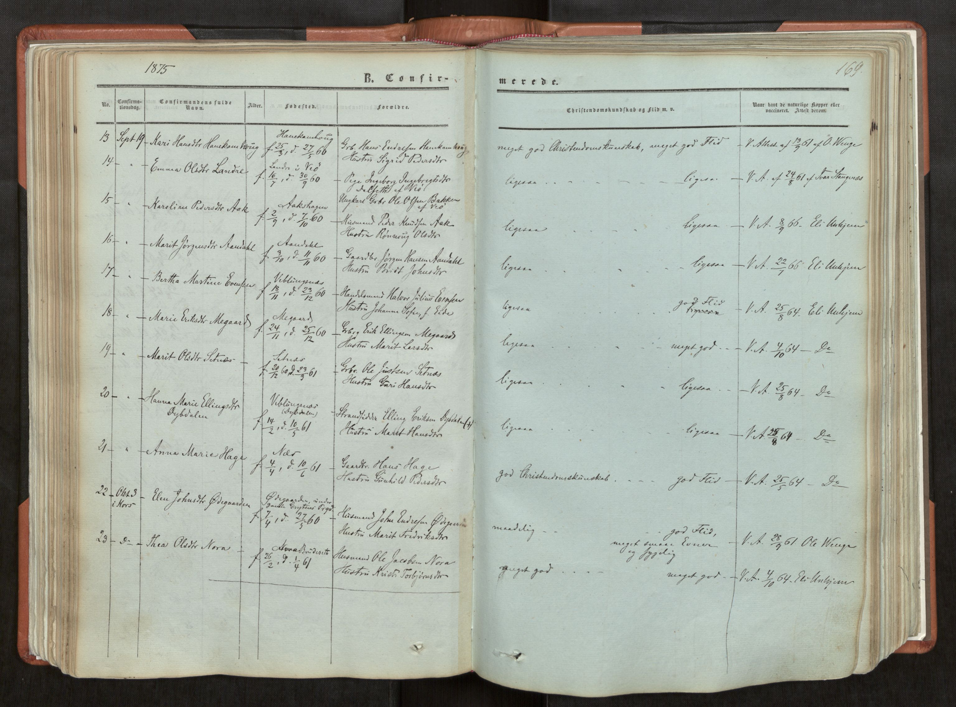 Ministerialprotokoller, klokkerbøker og fødselsregistre - Møre og Romsdal, AV/SAT-A-1454/544/L0572: Parish register (official) no. 544A05, 1854-1886, p. 169