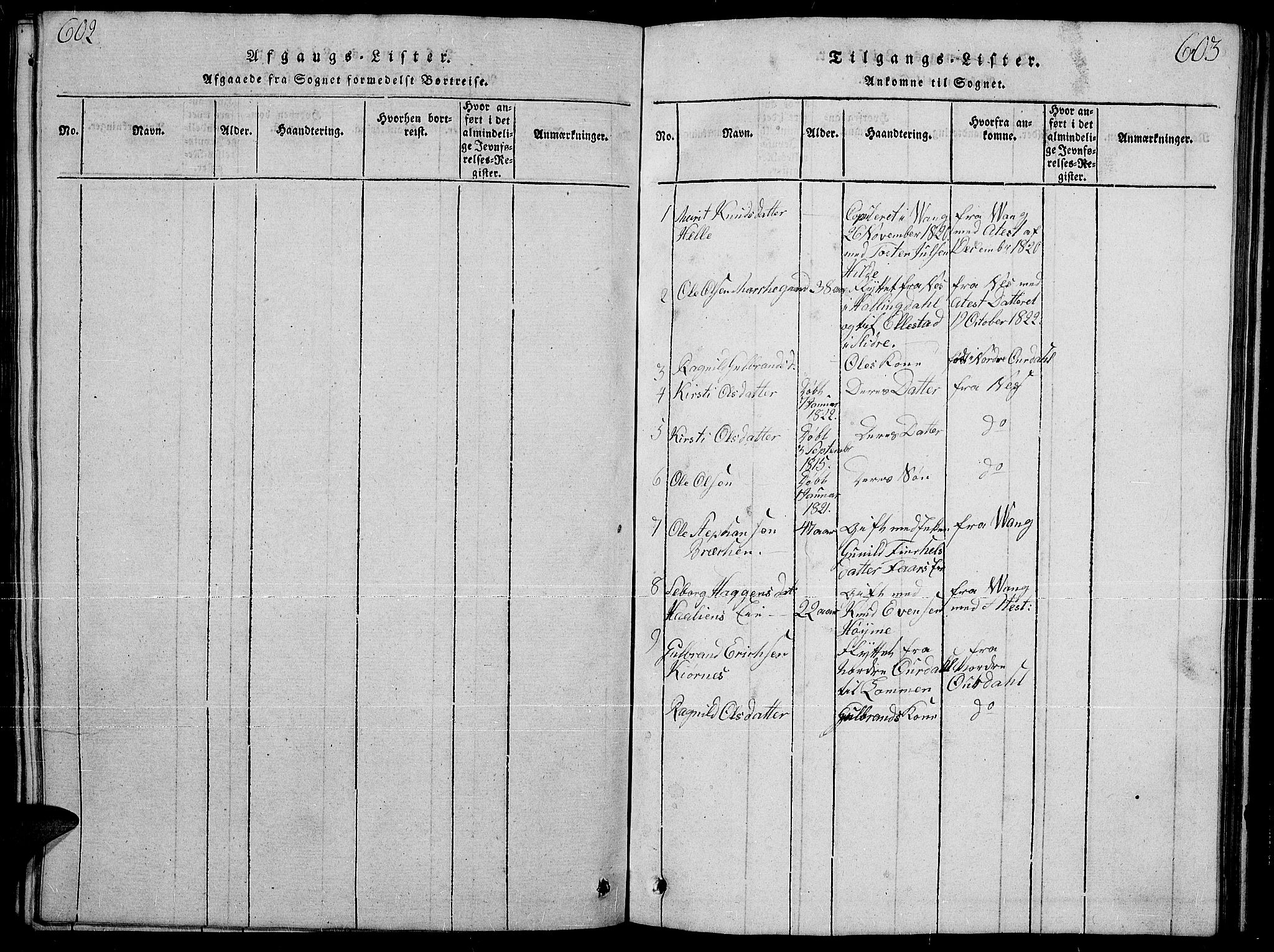 Slidre prestekontor, SAH/PREST-134/H/Ha/Hab/L0001: Parish register (copy) no. 1, 1814-1838, p. 602-603