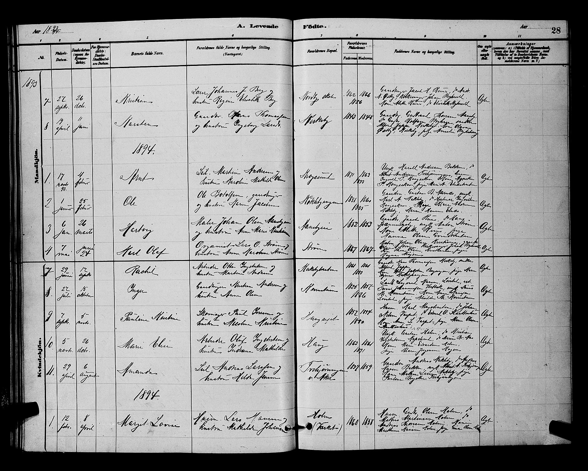 Nittedal prestekontor Kirkebøker, SAO/A-10365a/G/Gb/L0002: Parish register (copy) no. II 2, 1879-1901, p. 28