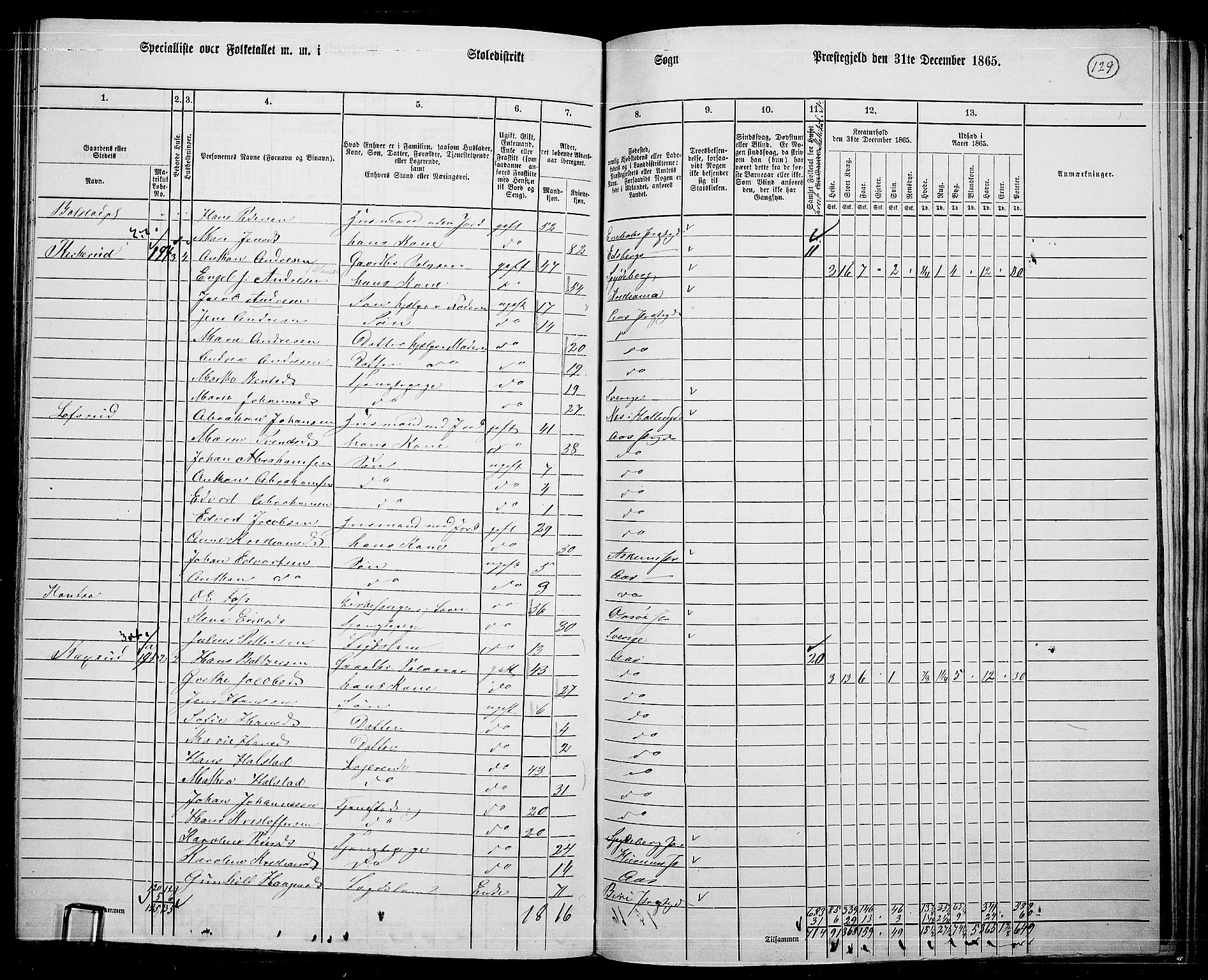 RA, 1865 census for Ås, 1865, p. 117