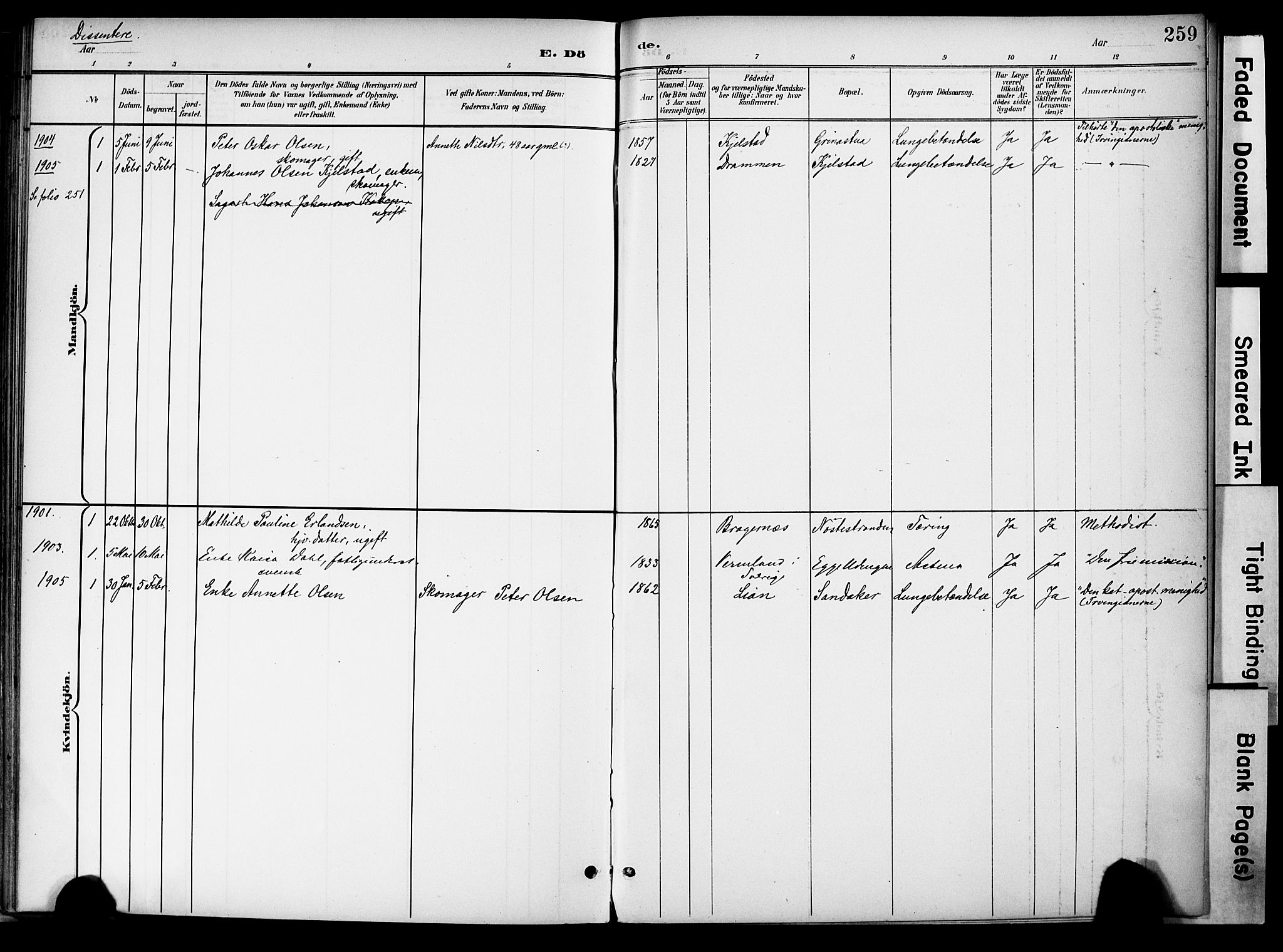 Lier kirkebøker, AV/SAKO-A-230/F/Fa/L0017: Parish register (official) no. I 17, 1901-1908, p. 259