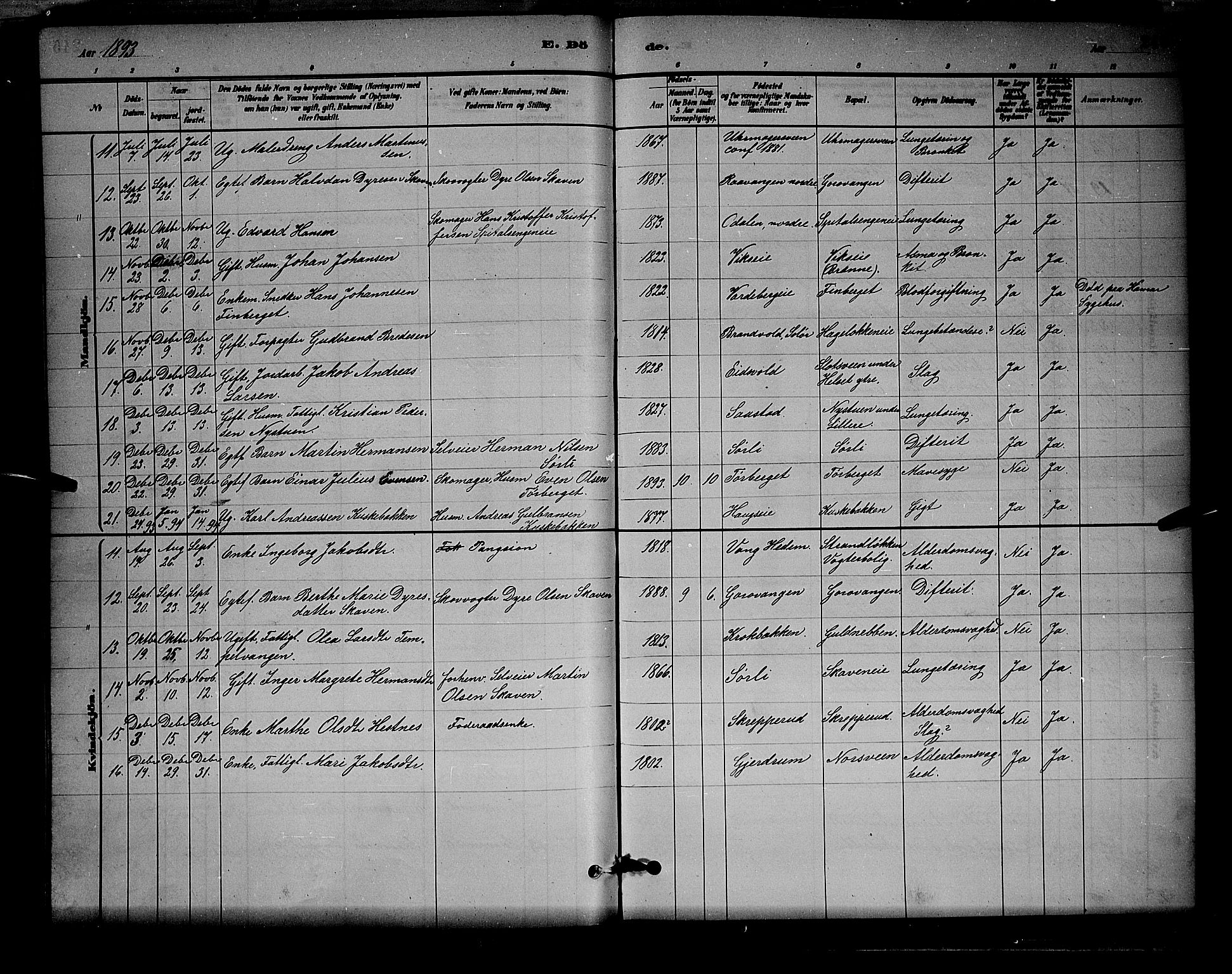 Stange prestekontor, AV/SAH-PREST-002/L/L0008: Parish register (copy) no. 8, 1882-1895, p. 246