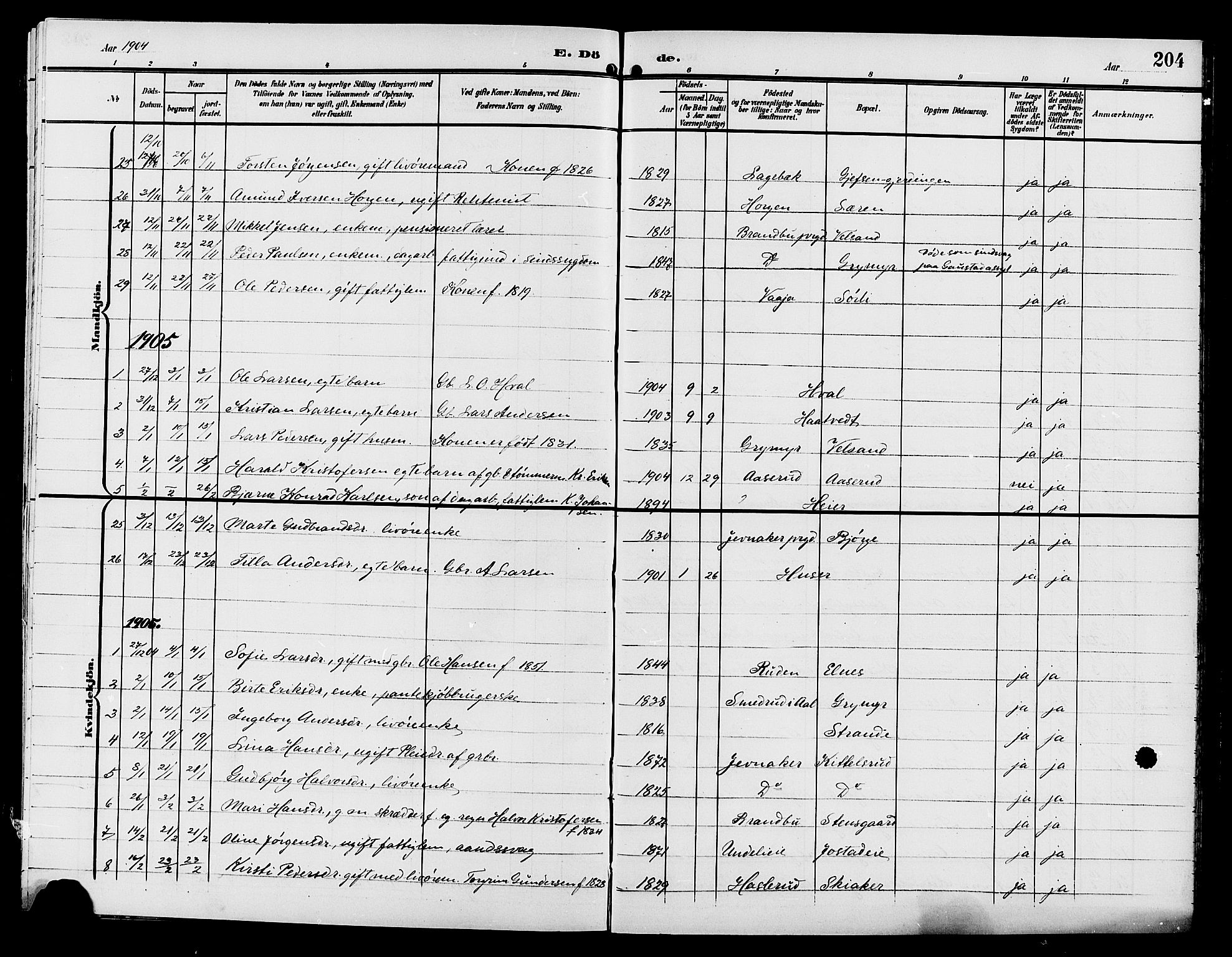 Gran prestekontor, SAH/PREST-112/H/Ha/Hab/L0006: Parish register (copy) no. 6, 1901-1911, p. 204