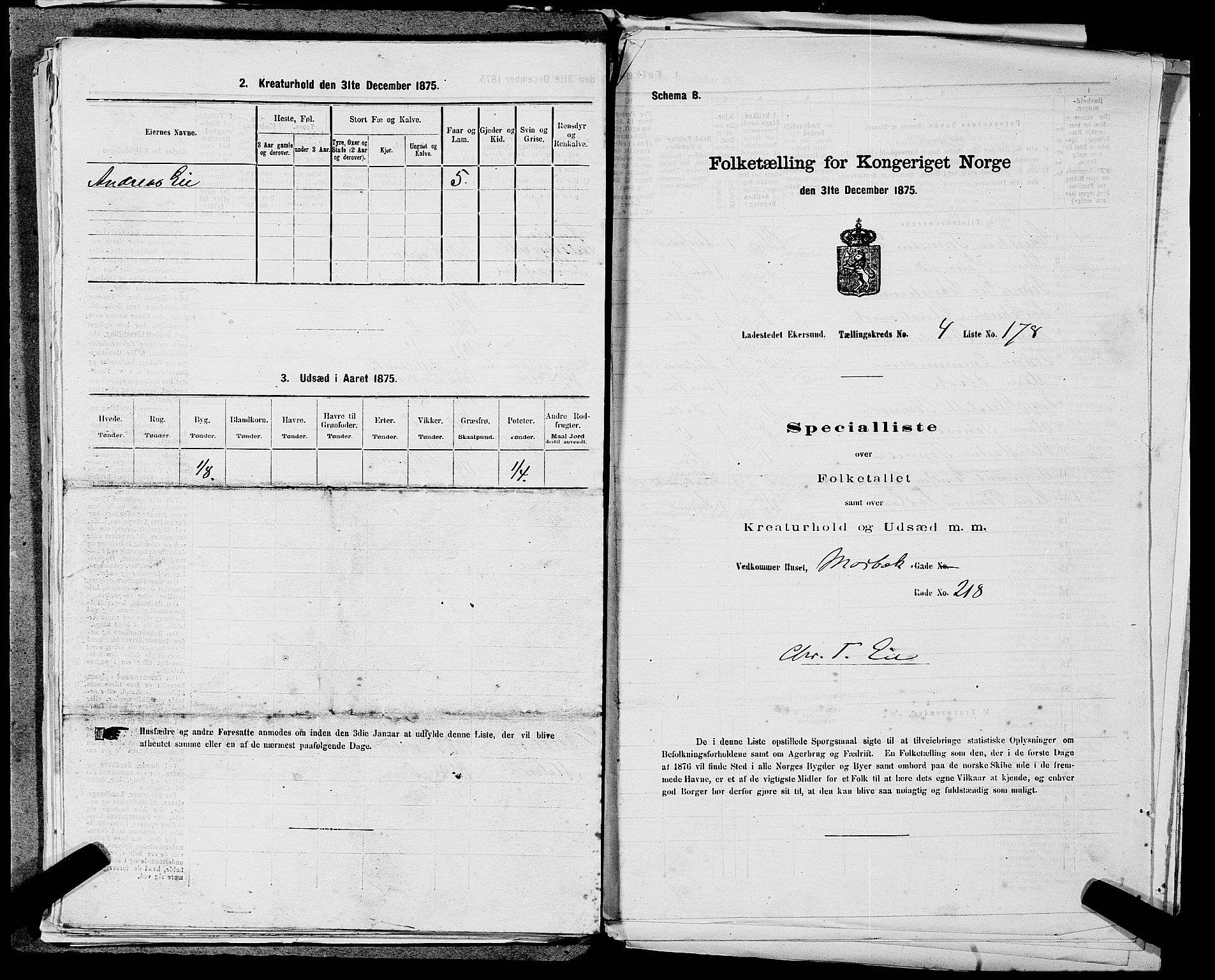 SAST, 1875 census for 1101B Eigersund parish, Egersund town, 1875, p. 381