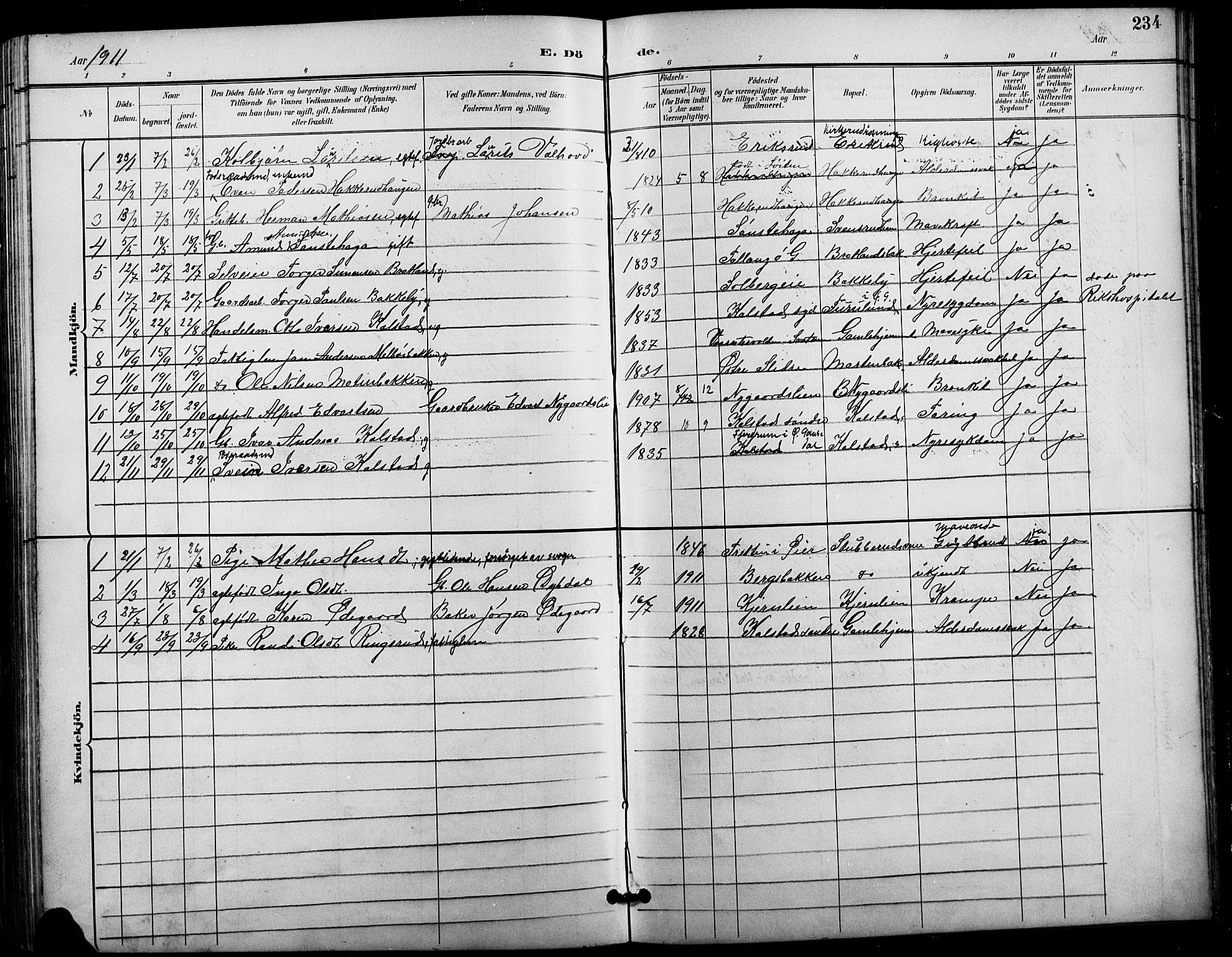 Vestre Gausdal prestekontor, AV/SAH-PREST-094/H/Ha/Hab/L0003: Parish register (copy) no. 3, 1896-1925, p. 234