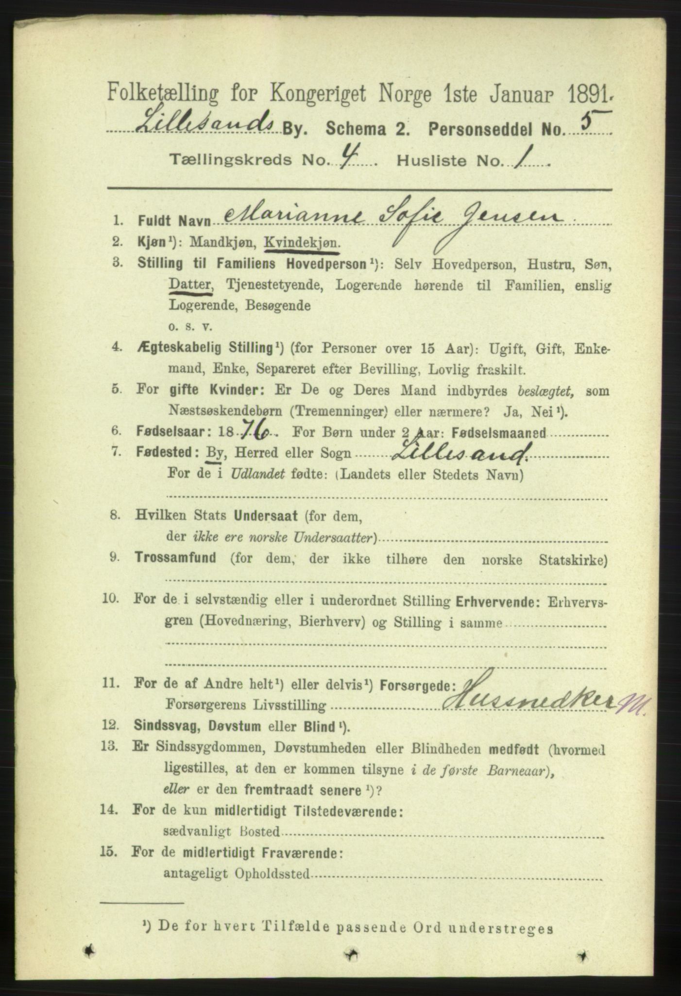 RA, 1891 census for 0905 Lillesand, 1891, p. 1069