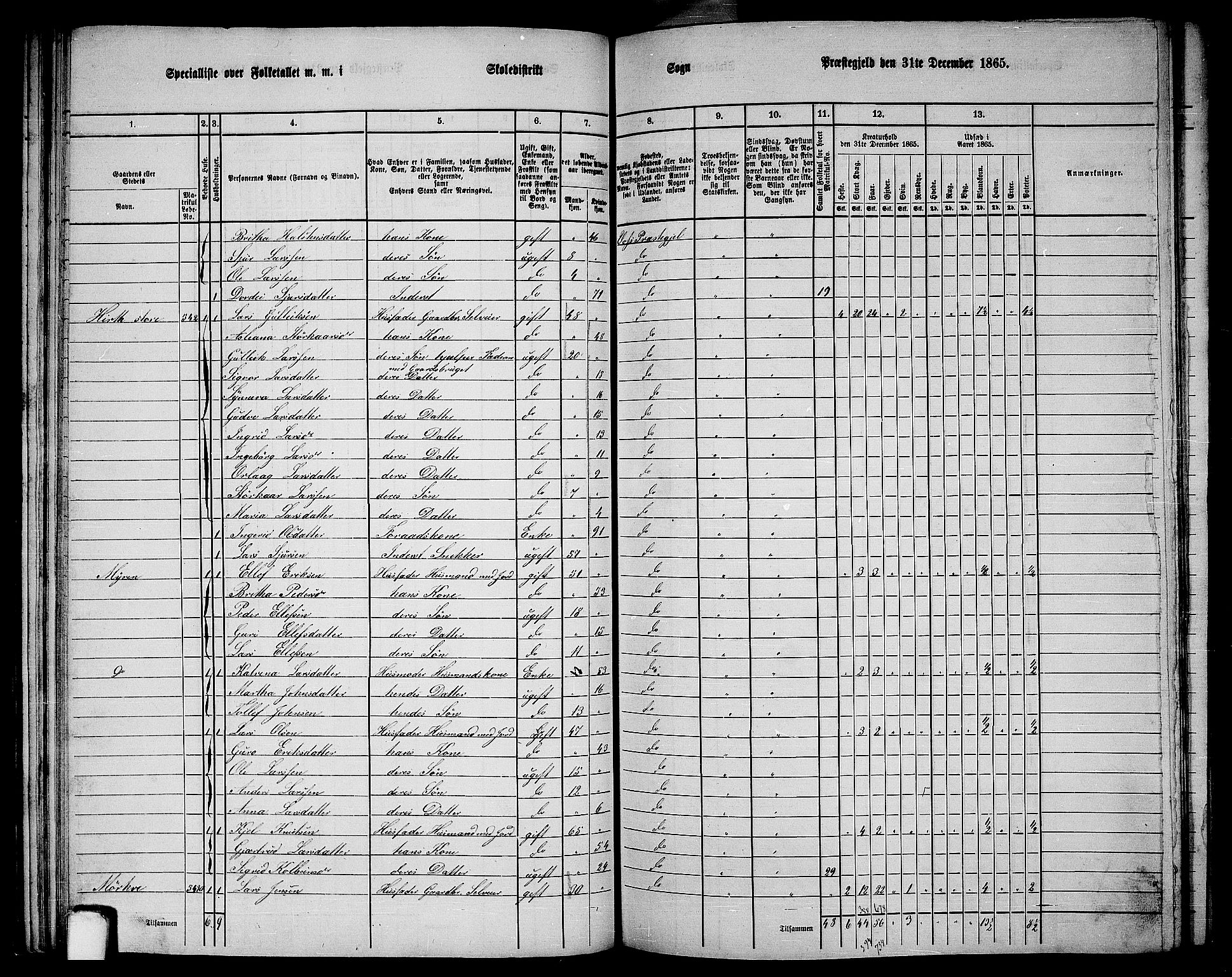 RA, 1865 census for Voss, 1865, p. 294