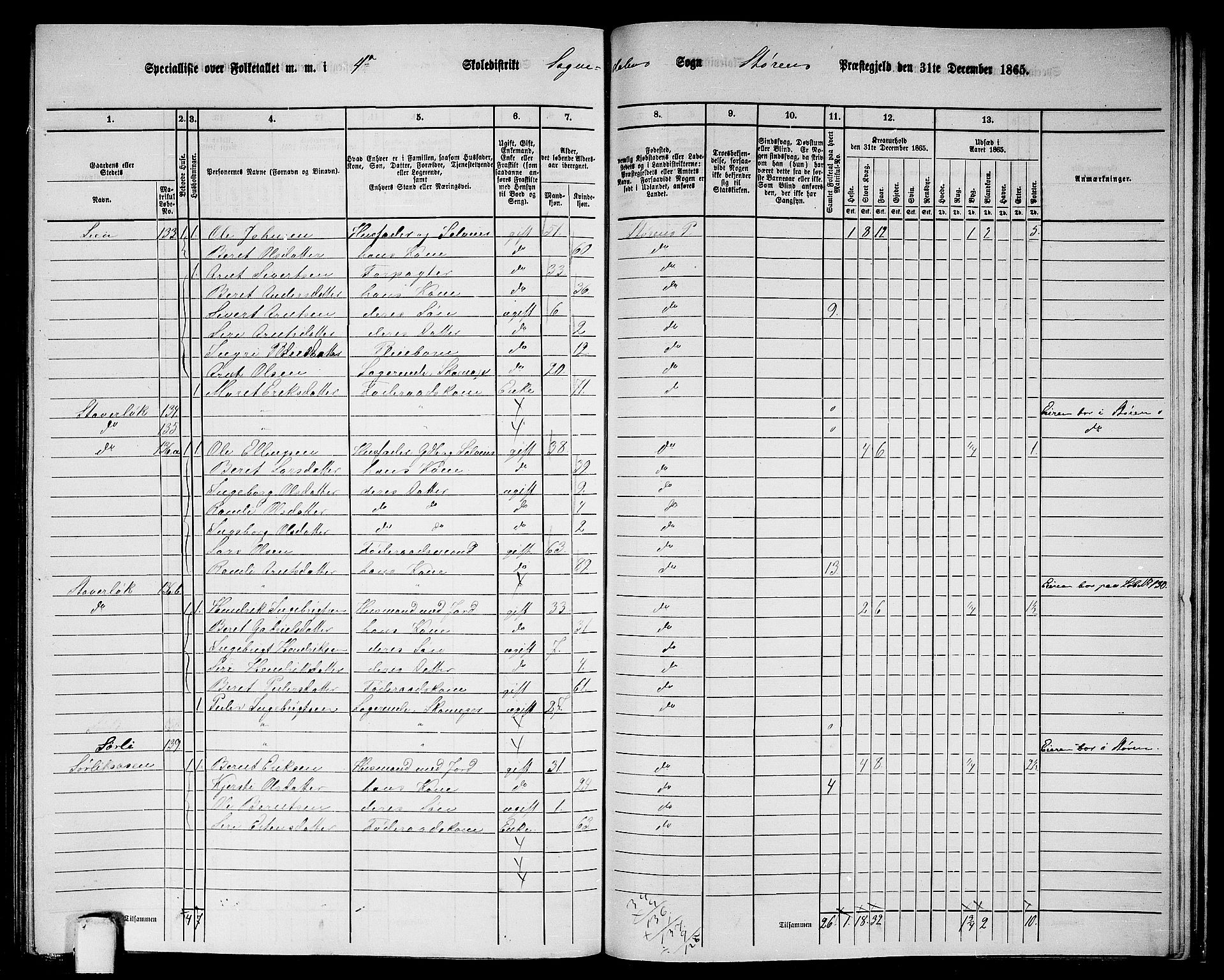 RA, 1865 census for Støren, 1865, p. 284