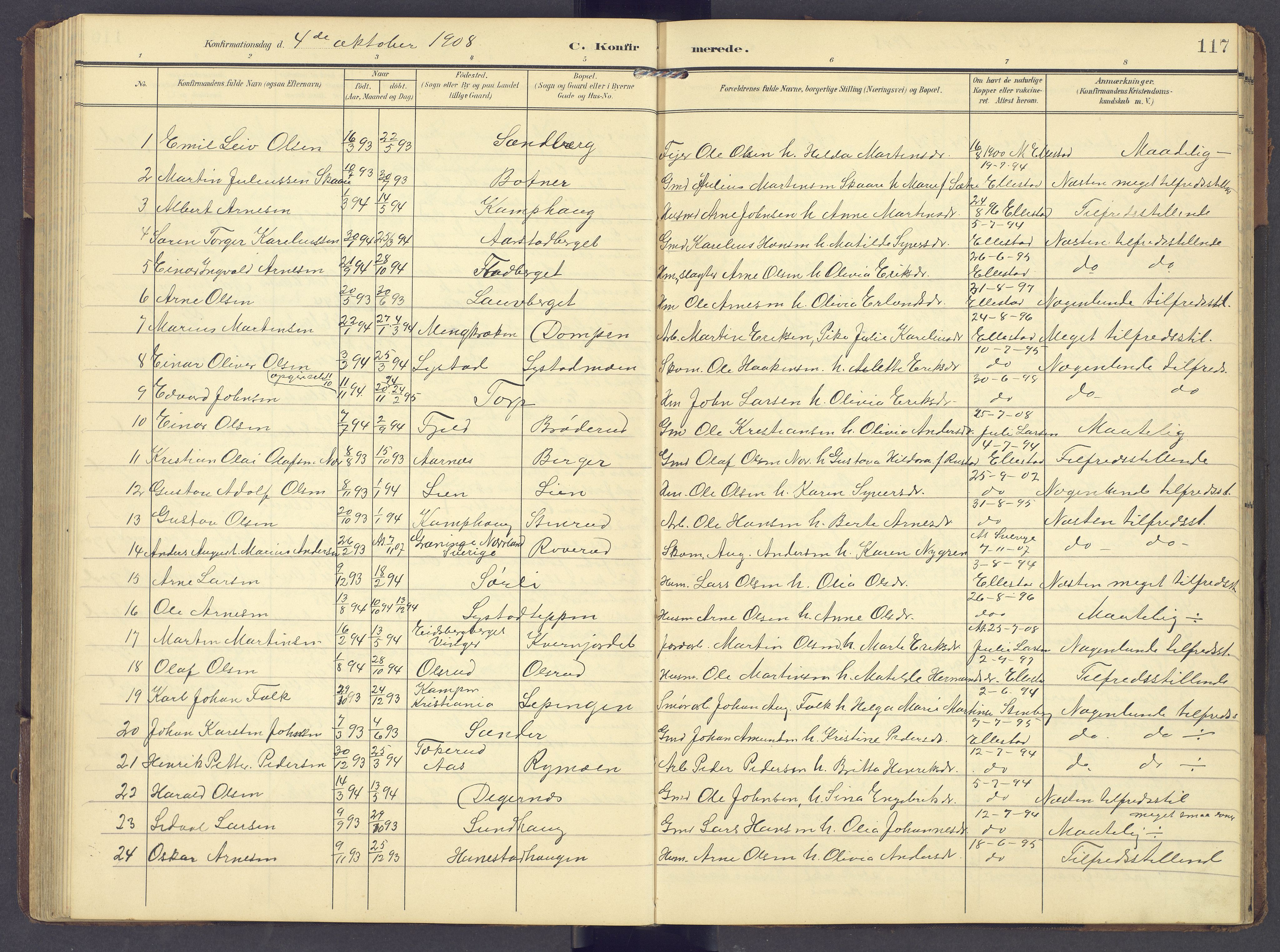 Brandval prestekontor, AV/SAH-PREST-034/H/Ha/Hab/L0003: Parish register (copy) no. 3, 1904-1917, p. 117