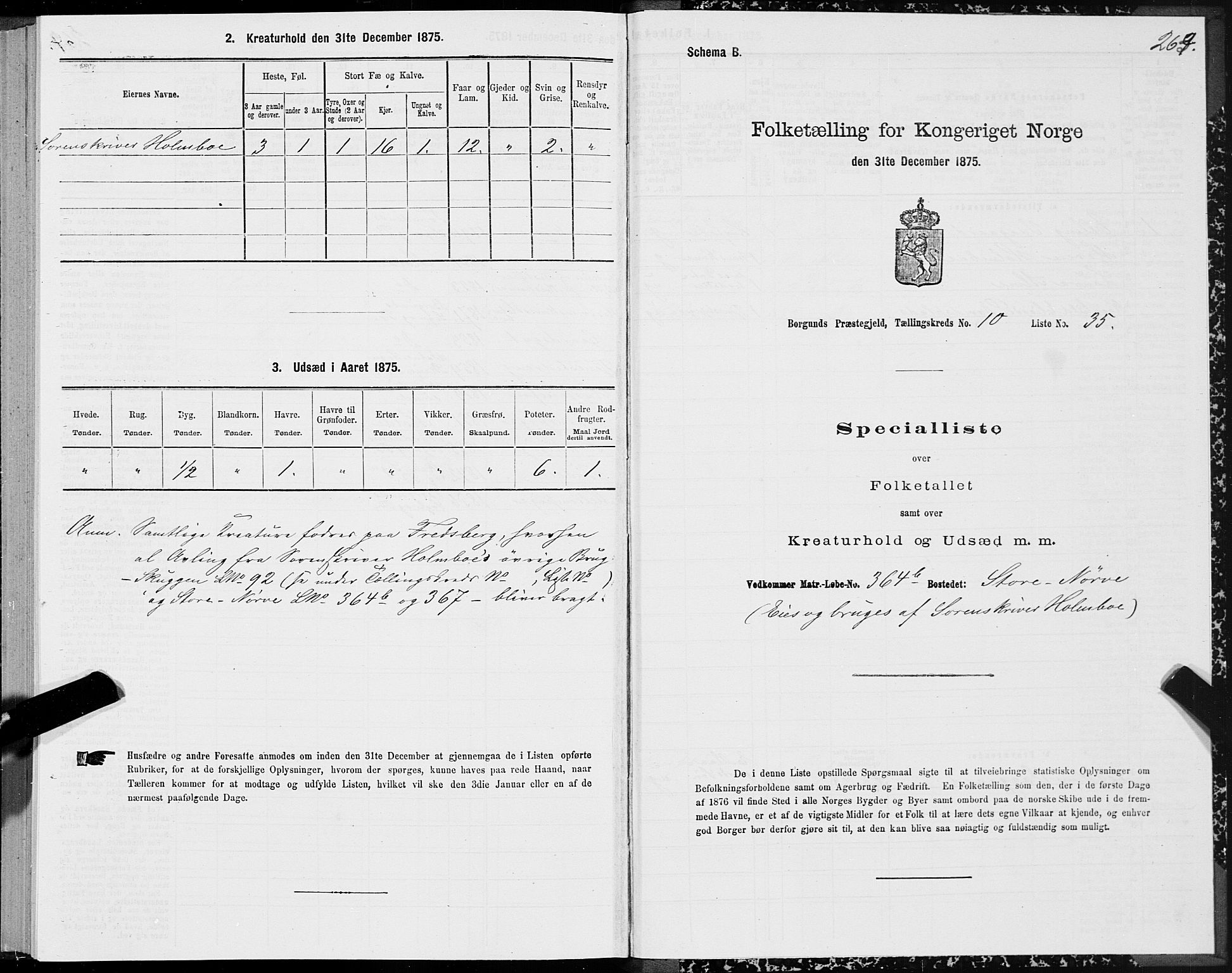 SAT, 1875 census for 1531P Borgund, 1875, p. 5263