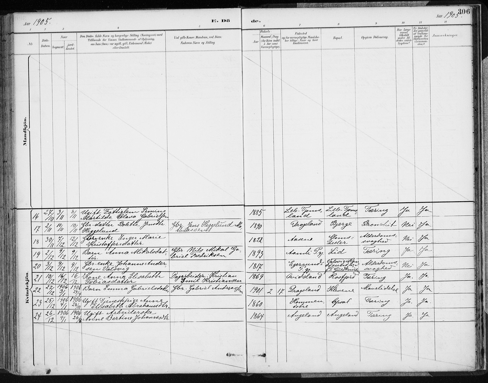 Lyngdal sokneprestkontor, AV/SAK-1111-0029/F/Fa/Fac/L0012: Parish register (official) no. A 12, 1894-1918, p. 306