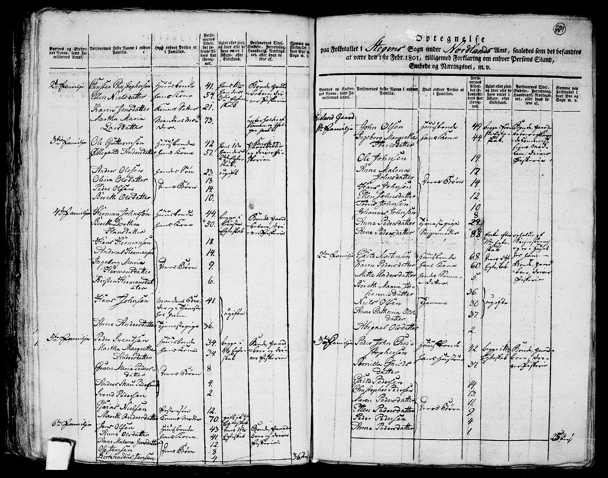 RA, 1801 census for 1848P Steigen, 1801, p. 508b-509a