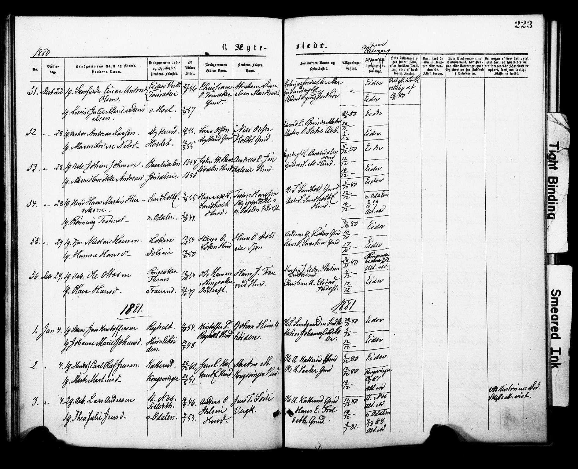 Eidsvoll prestekontor Kirkebøker, SAO/A-10888/F/Fa/L0001: Parish register (official) no. I 1, 1877-1881, p. 223