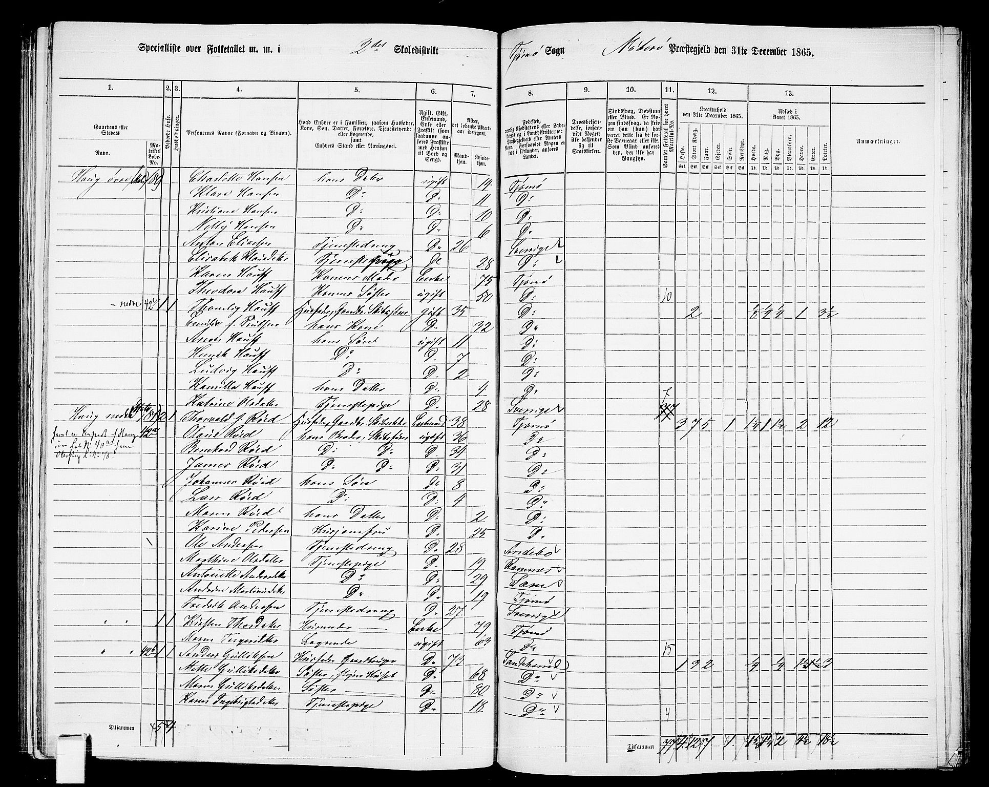 RA, 1865 census for Nøtterøy, 1865, p. 244