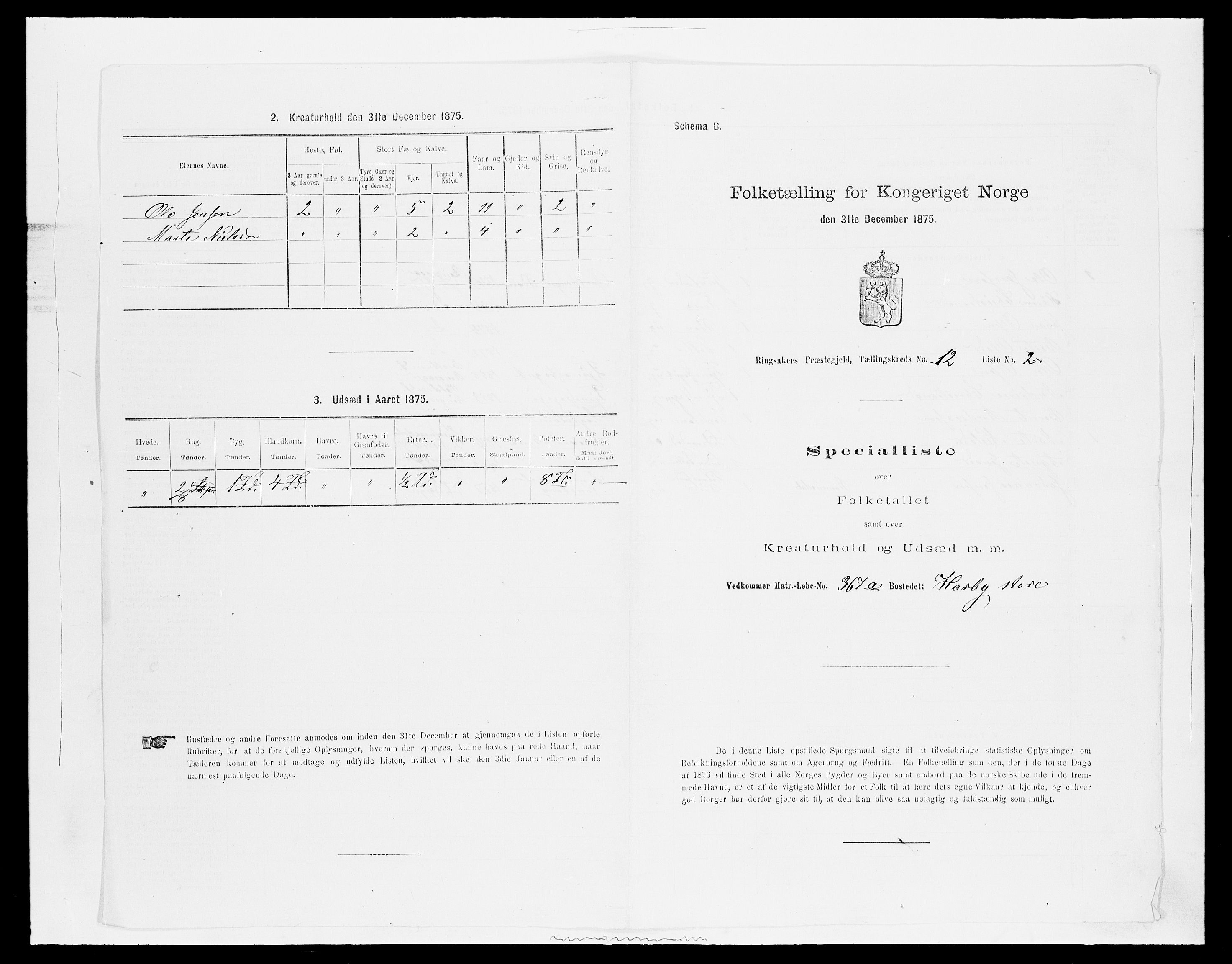 SAH, 1875 census for 0412P Ringsaker, 1875, p. 2413