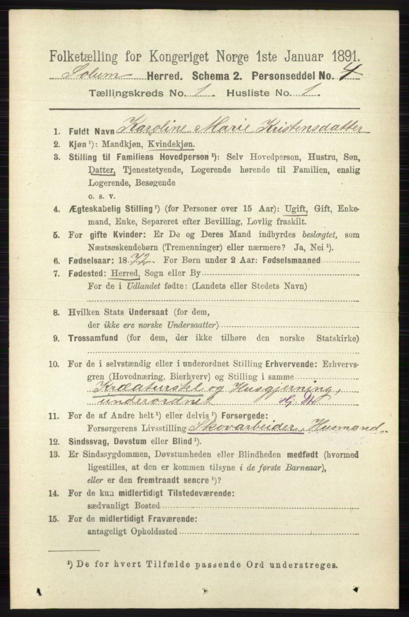 RA, 1891 census for 0818 Solum, 1891, p. 50