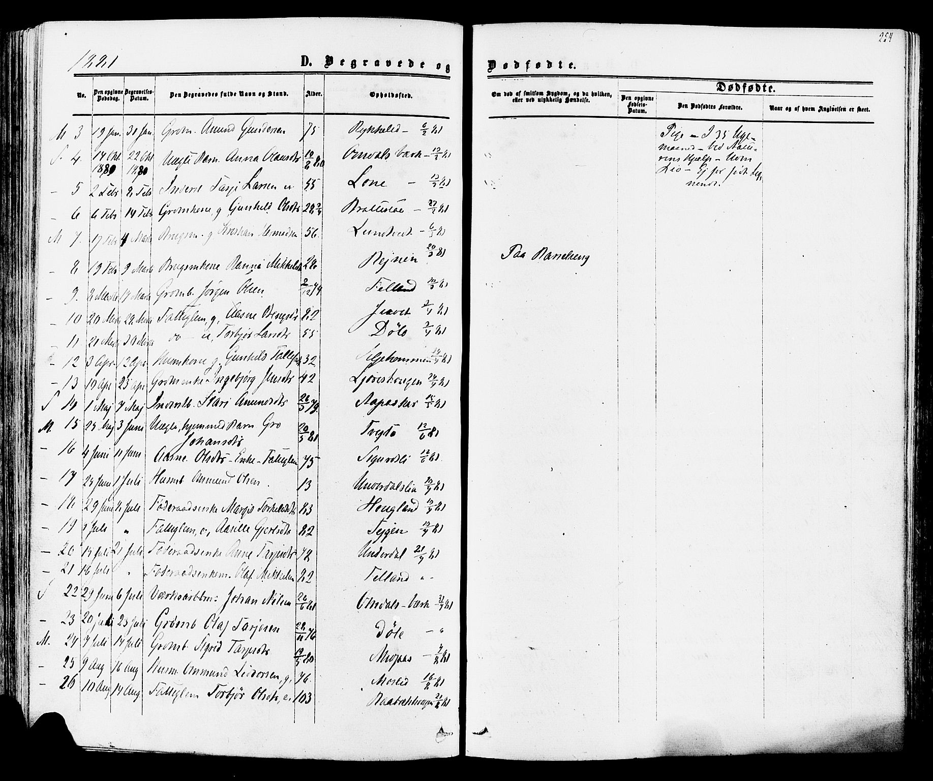 Mo kirkebøker, AV/SAKO-A-286/F/Fa/L0006: Parish register (official) no. I 6, 1865-1885, p. 254