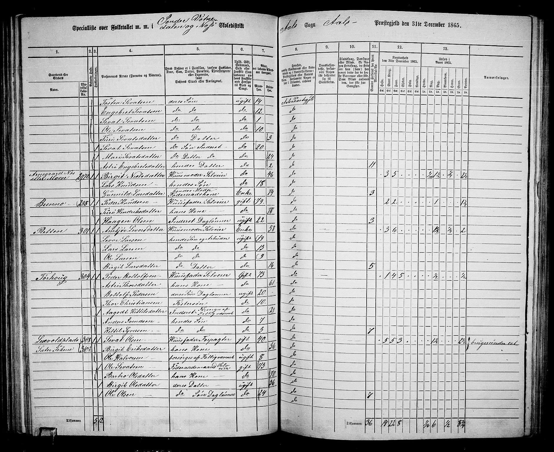 RA, 1865 census for Ål, 1865, p. 85