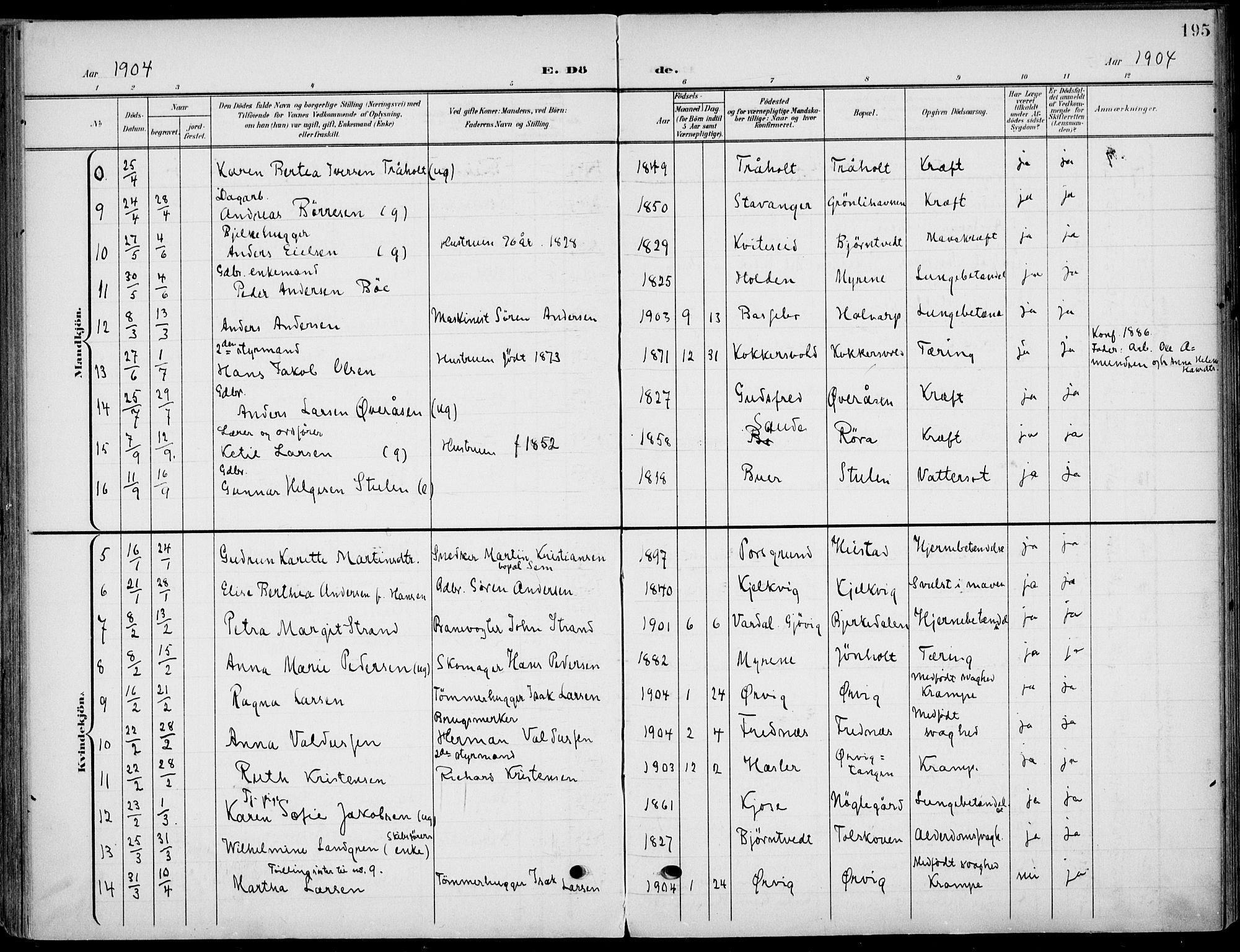 Eidanger kirkebøker, AV/SAKO-A-261/F/Fa/L0013: Parish register (official) no. 13, 1900-1913, p. 195