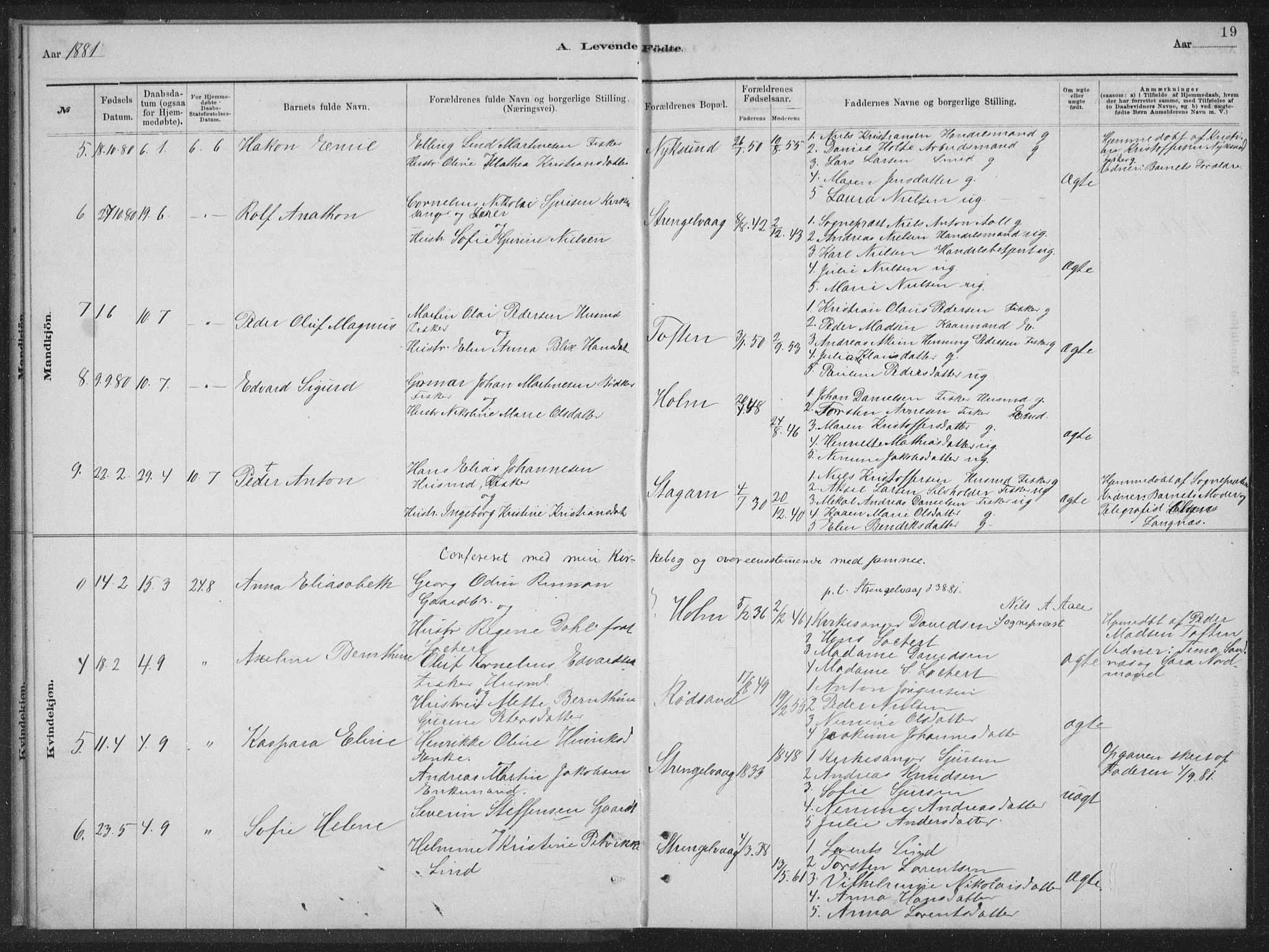 Ministerialprotokoller, klokkerbøker og fødselsregistre - Nordland, AV/SAT-A-1459/894/L1359: Parish register (copy) no. 894C02, 1877-1884, p. 19