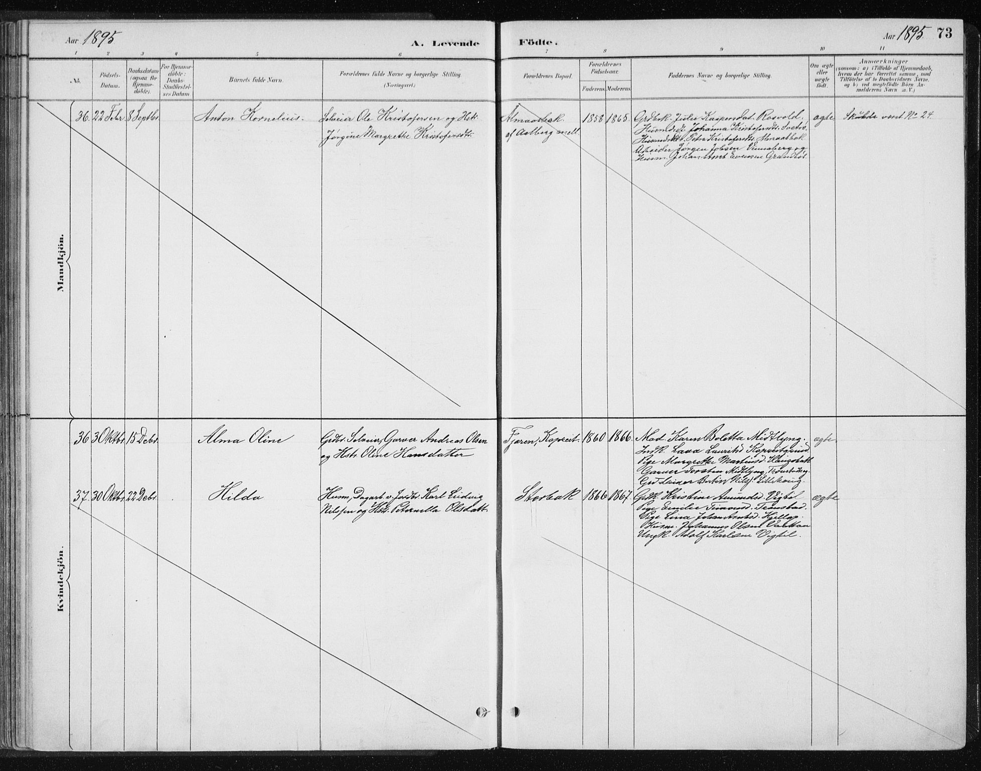 Ministerialprotokoller, klokkerbøker og fødselsregistre - Nord-Trøndelag, SAT/A-1458/701/L0010: Parish register (official) no. 701A10, 1883-1899, p. 73