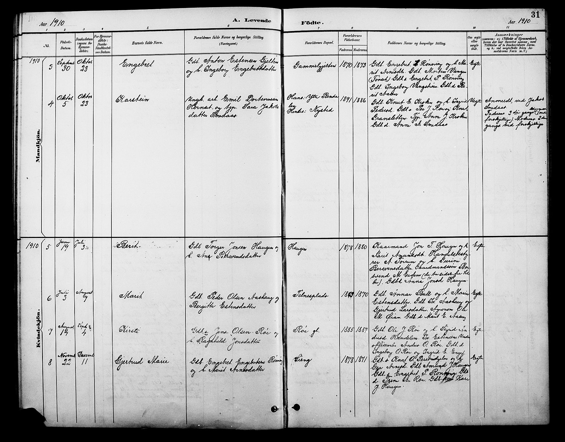 Tolga prestekontor, AV/SAH-PREST-062/L/L0010: Parish register (copy) no. 10, 1894-1918, p. 31