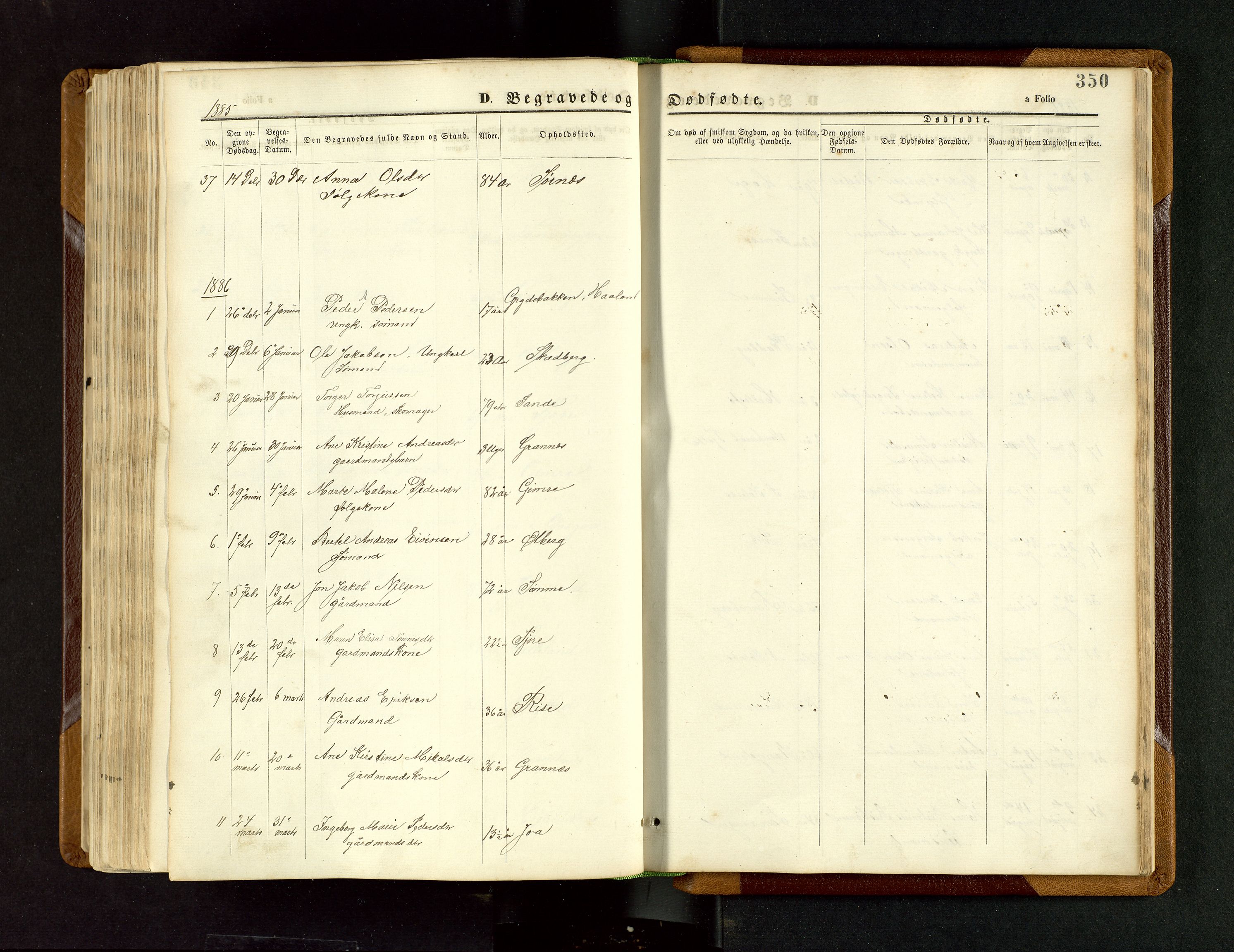 Håland sokneprestkontor, SAST/A-101802/001/30BB/L0003: Parish register (copy) no. B 3, 1873-1893, p. 350