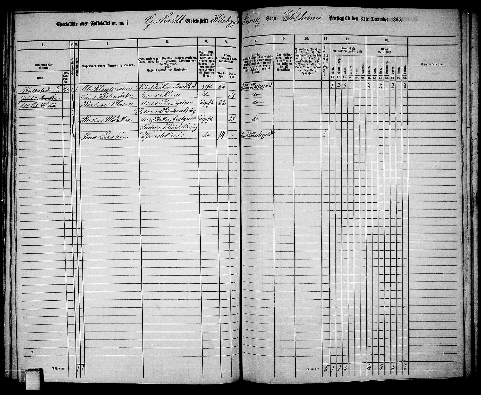 RA, 1865 census for Solum, 1865, p. 156