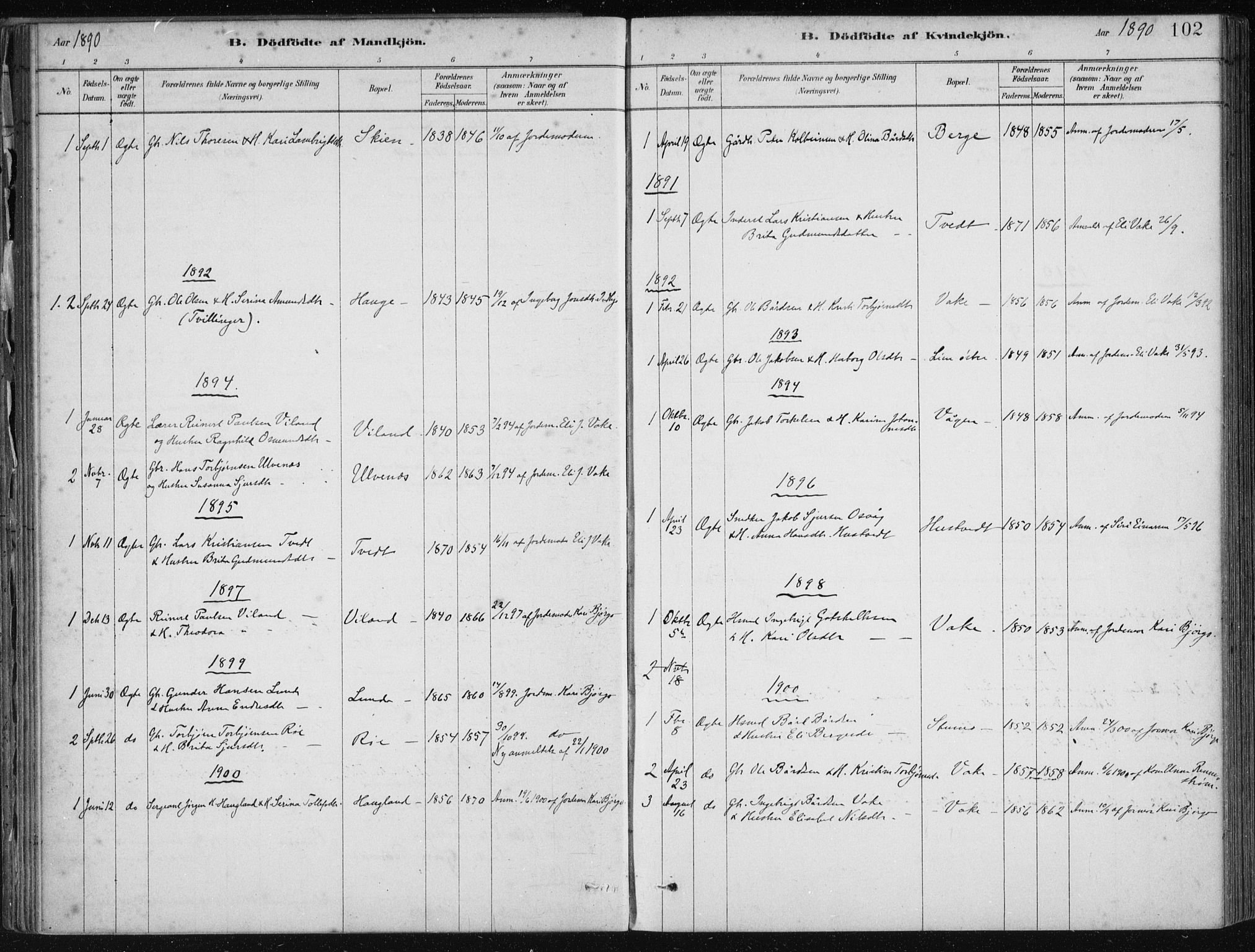 Fjelberg sokneprestembete, AV/SAB-A-75201/H/Haa: Parish register (official) no. D 1, 1879-1918, p. 102