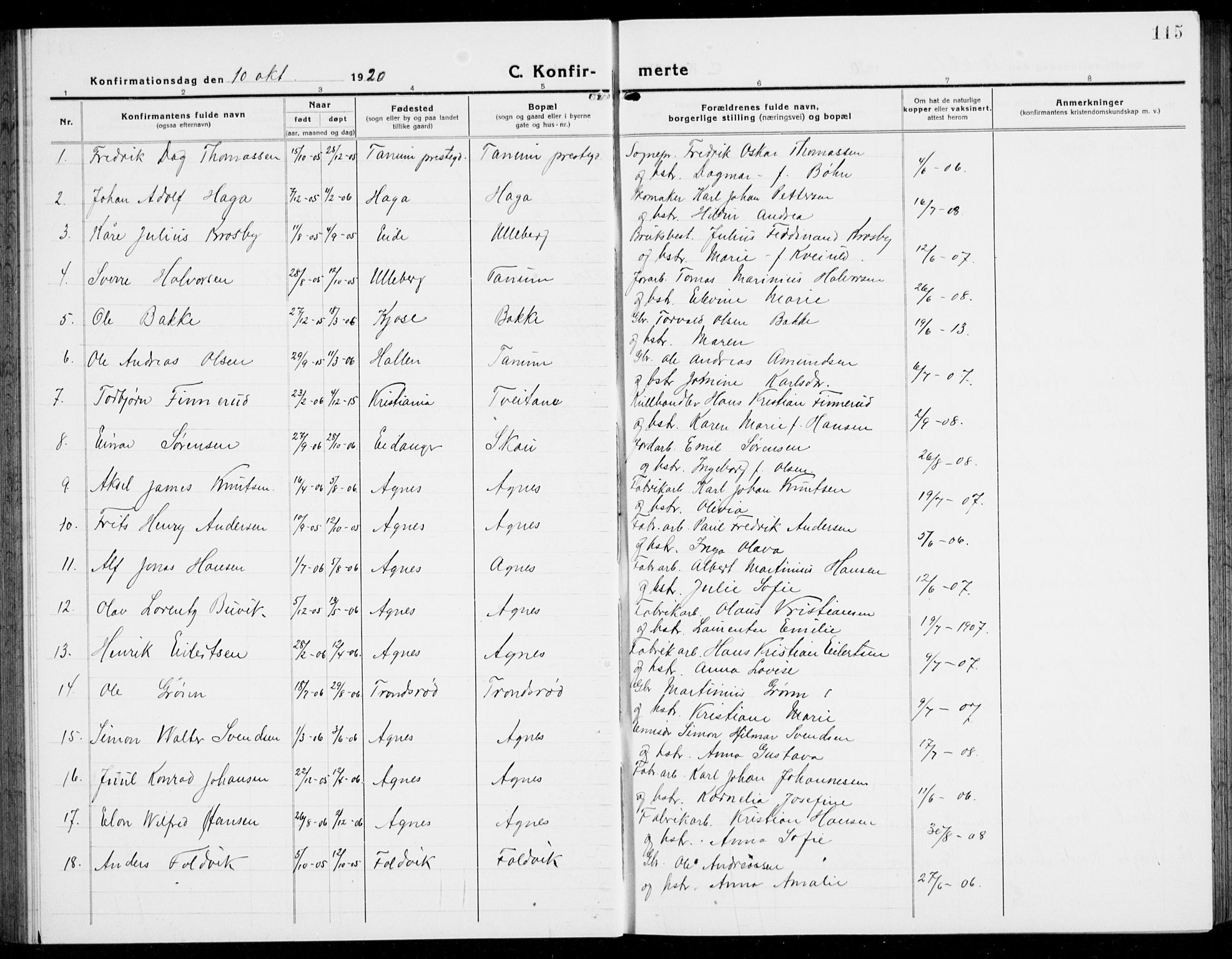 Brunlanes kirkebøker, SAKO/A-342/G/Ga/L0005: Parish register (copy) no. I 5, 1918-1941, p. 115