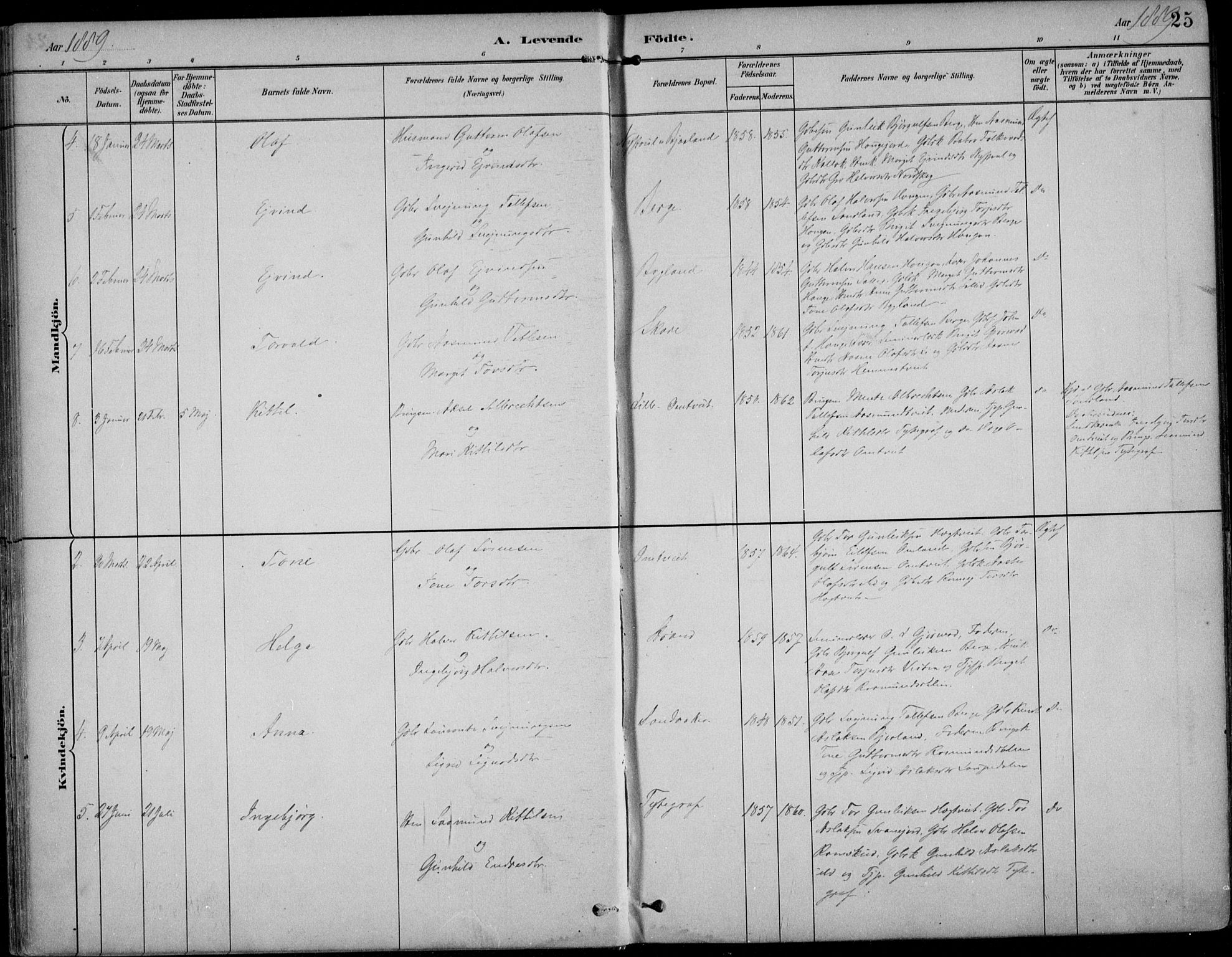 Kviteseid kirkebøker, SAKO/A-276/F/Fb/L0002: Parish register (official) no. II 2, 1882-1916, p. 25