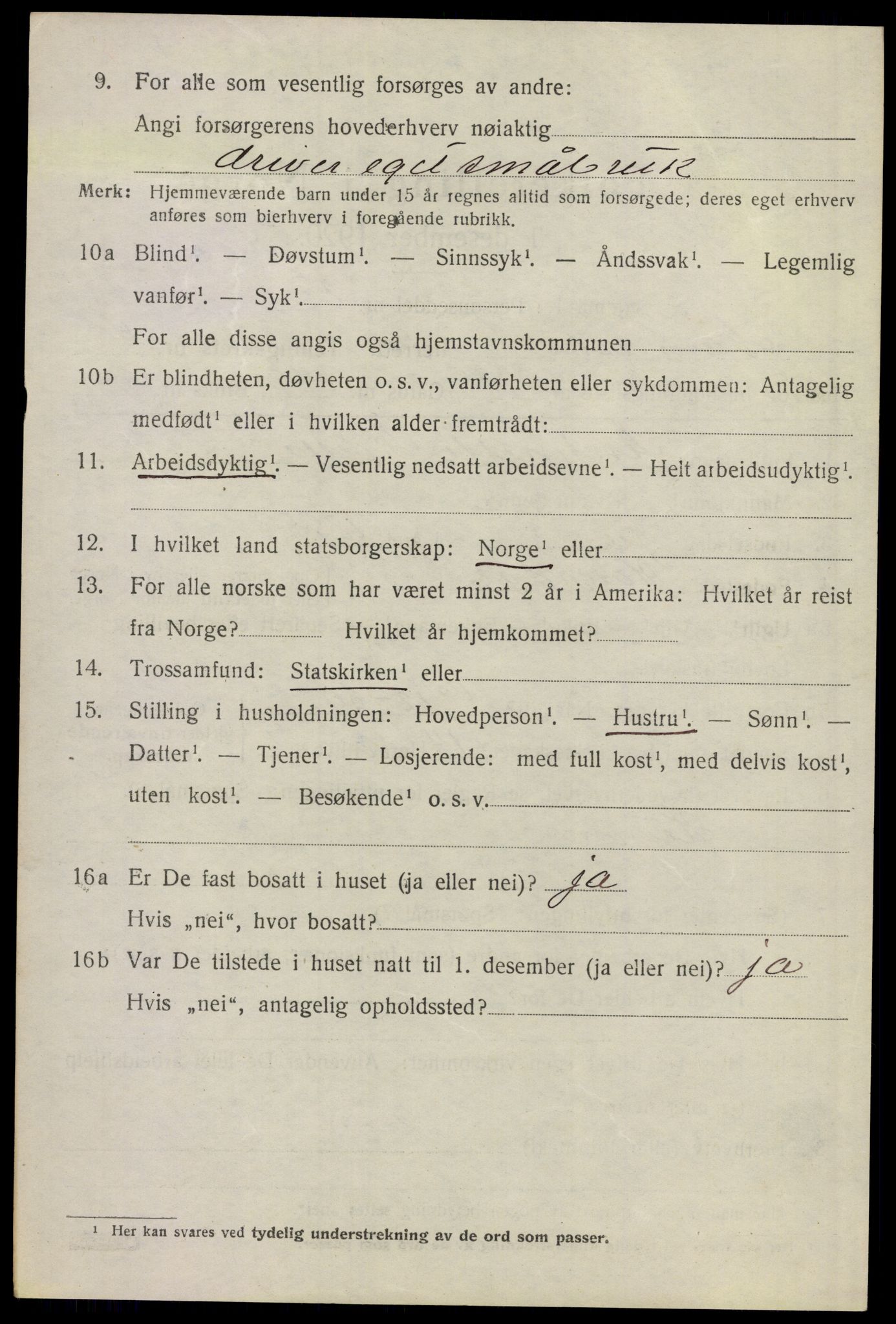 SAO, 1920 census for Nannestad, 1920, p. 6034