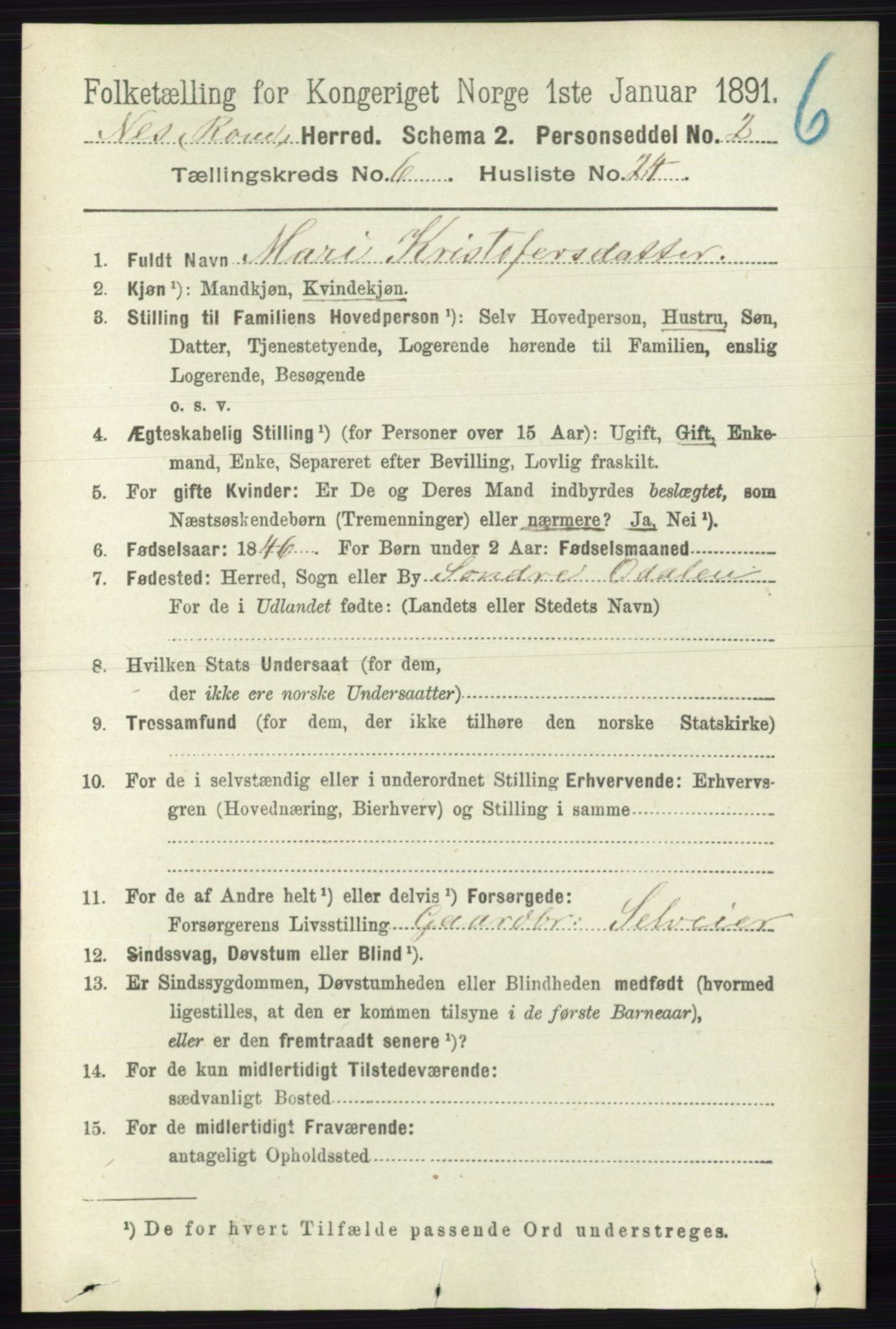 RA, 1891 census for 0236 Nes, 1891, p. 3519