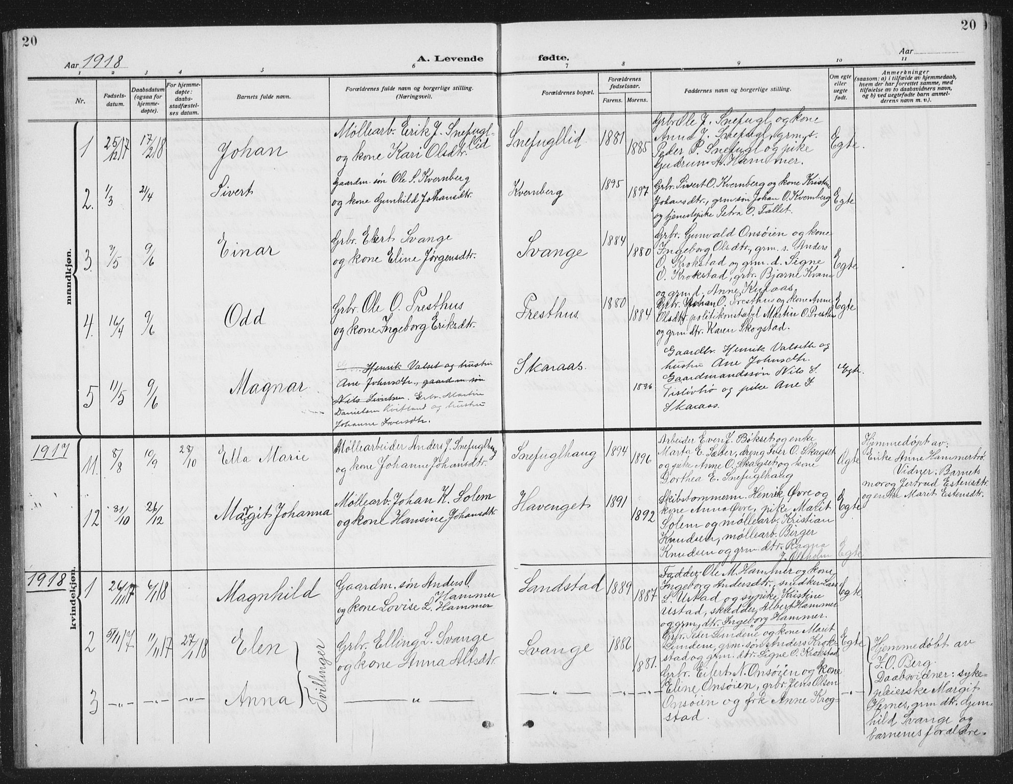 Ministerialprotokoller, klokkerbøker og fødselsregistre - Sør-Trøndelag, SAT/A-1456/666/L0791: Parish register (copy) no. 666C04, 1909-1939, p. 20