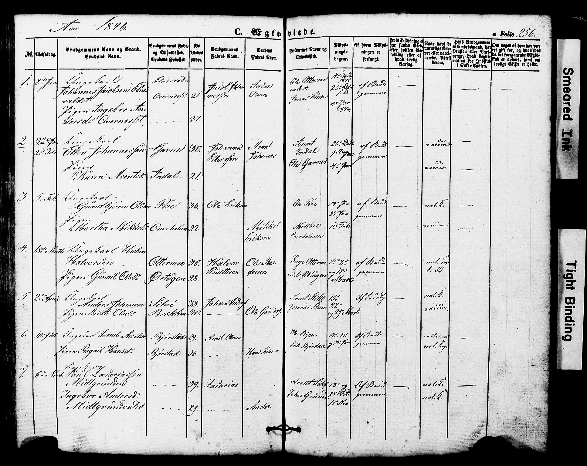 Ministerialprotokoller, klokkerbøker og fødselsregistre - Nord-Trøndelag, SAT/A-1458/724/L0268: Parish register (copy) no. 724C04, 1846-1878, p. 256