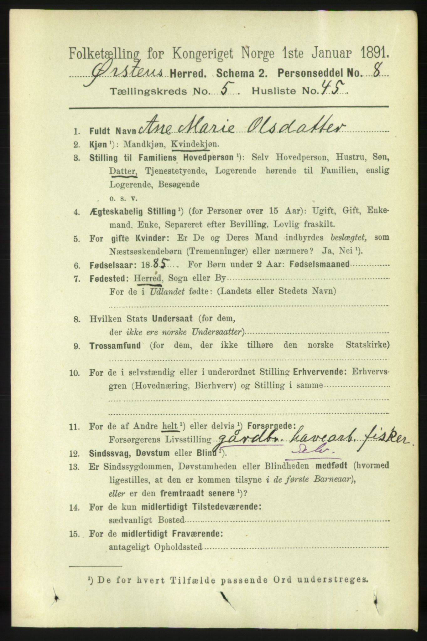 RA, 1891 census for 1520 Ørsta, 1891, p. 2541