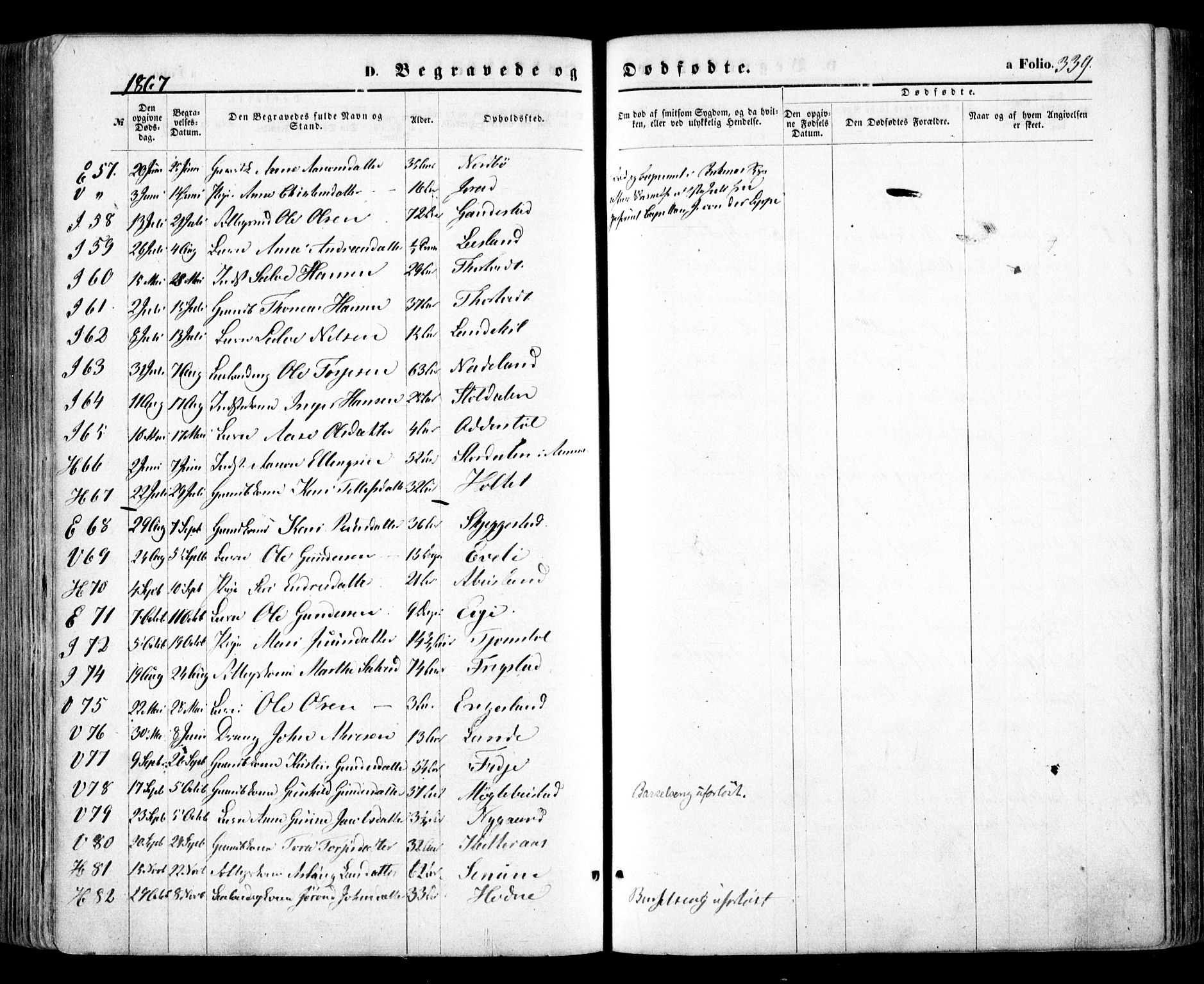 Evje sokneprestkontor, SAK/1111-0008/F/Fa/Faa/L0006: Parish register (official) no. A 6, 1866-1884, p. 339