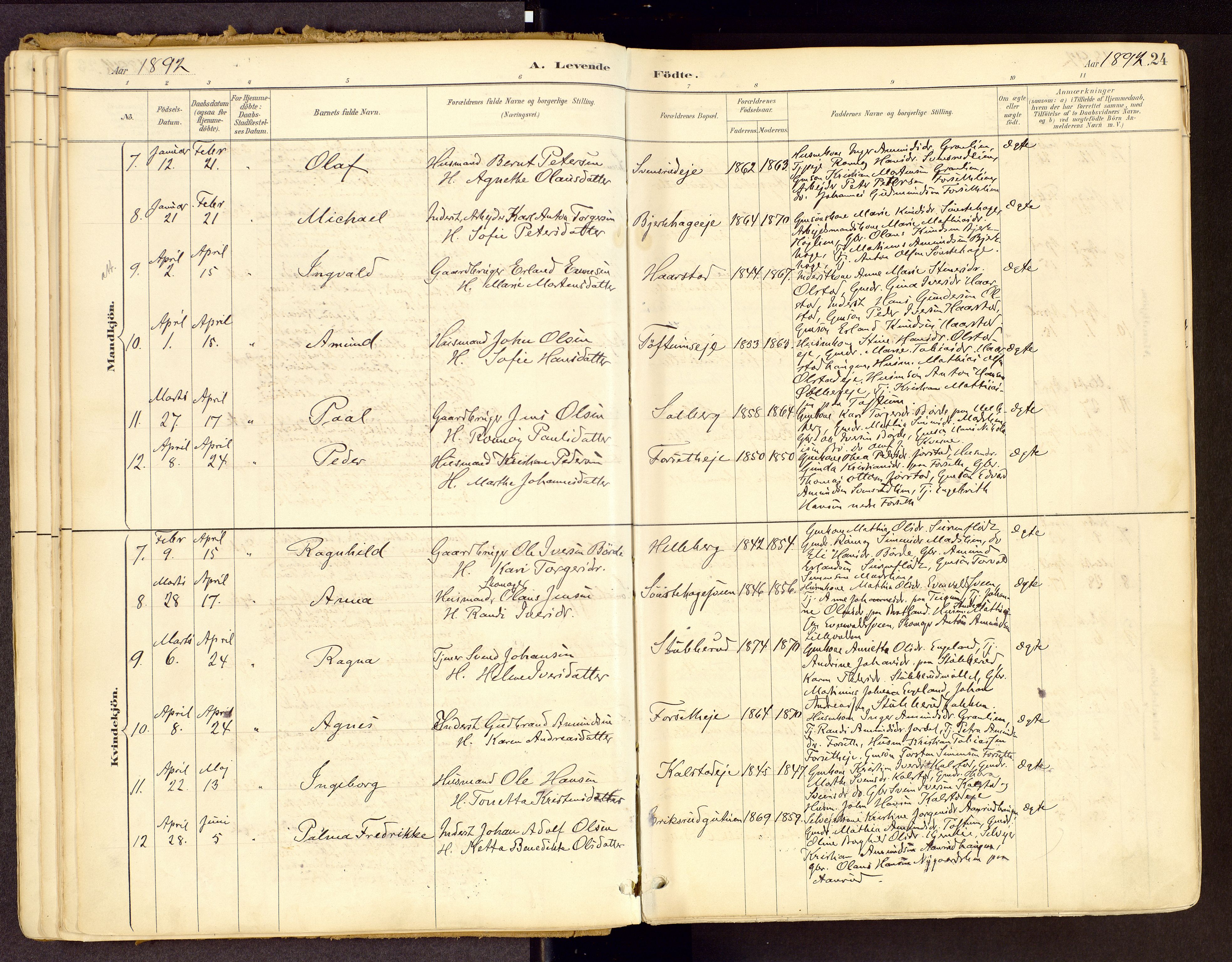 Vestre Gausdal prestekontor, SAH/PREST-094/H/Ha/Haa/L0001: Parish register (official) no. 1, 1887-1914, p. 24