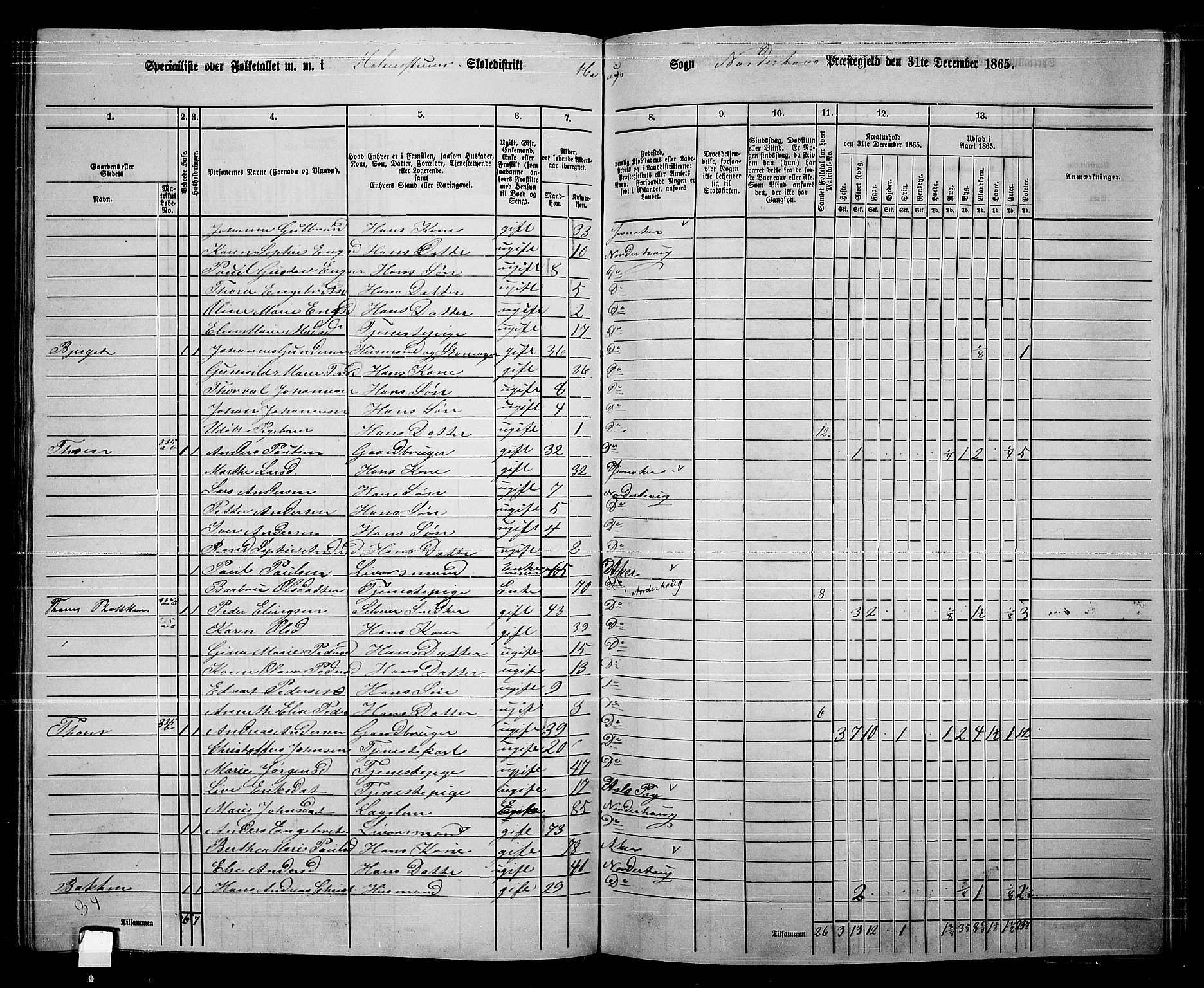 RA, 1865 census for Norderhov/Norderhov, Haug og Lunder, 1865, p. 240