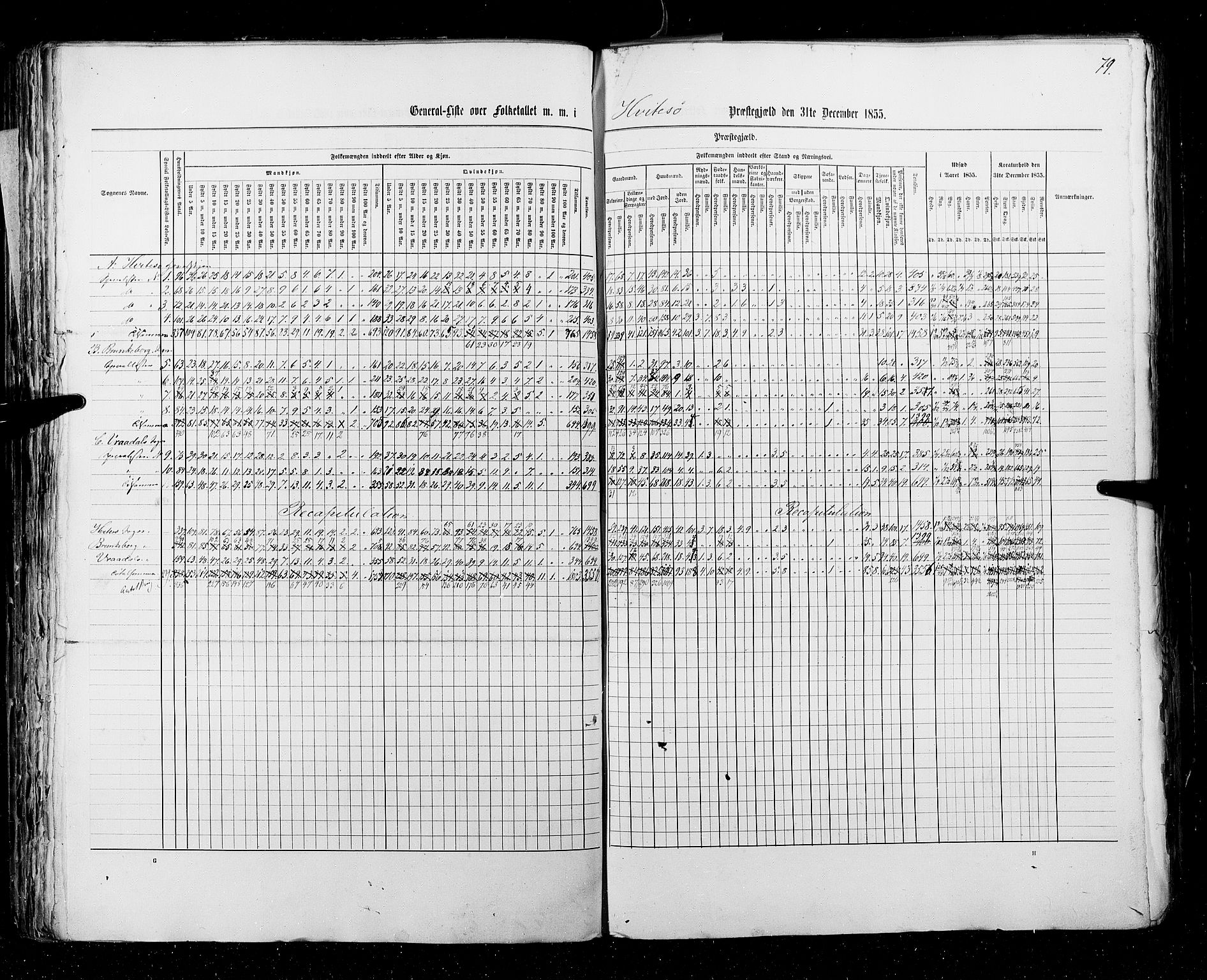 RA, Census 1855, vol. 3: Bratsberg amt, Nedenes amt og Lister og Mandal amt, 1855, p. 79