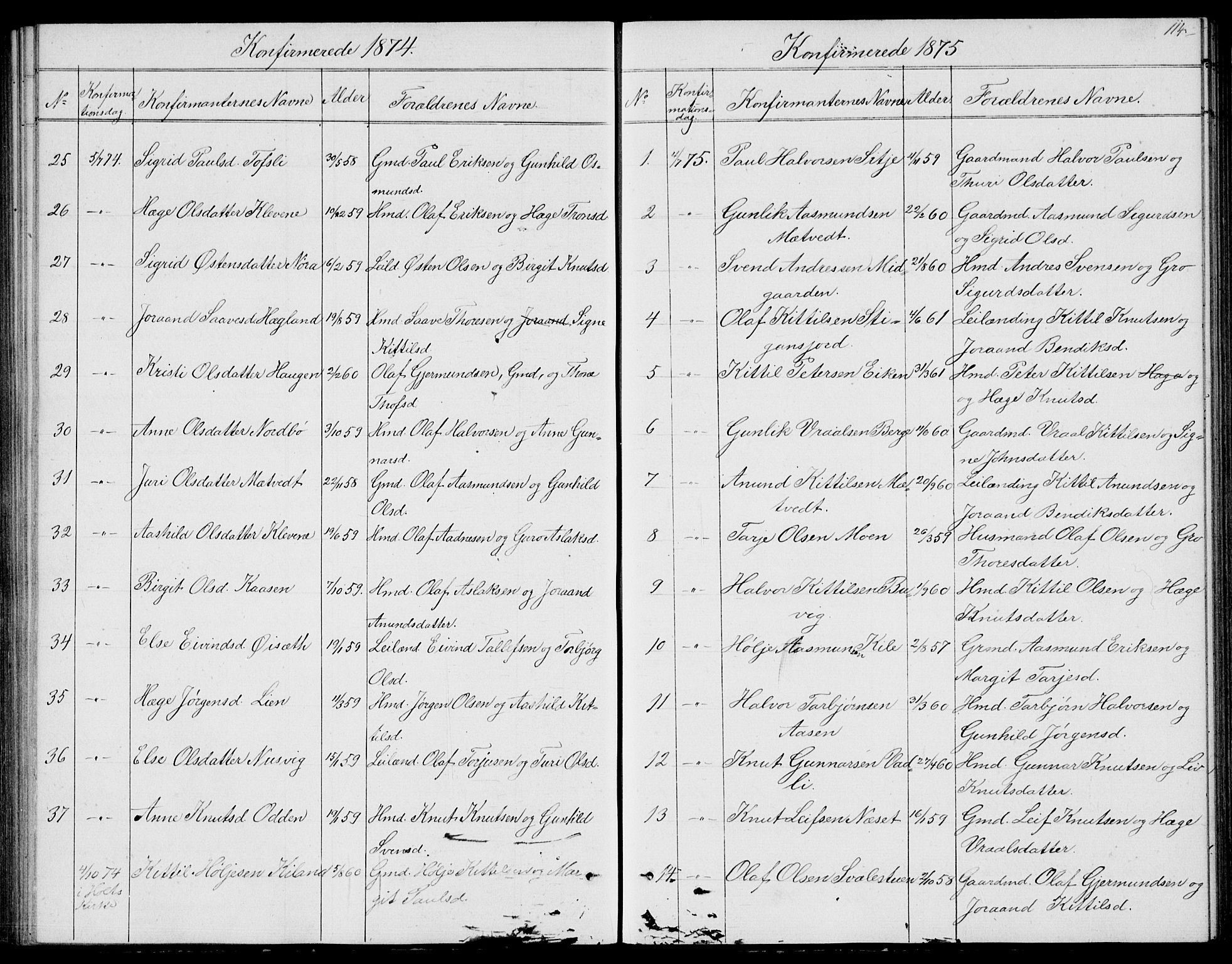 Fyresdal kirkebøker, SAKO/A-263/G/Ga/L0004: Parish register (copy) no. I 4, 1864-1892, p. 114