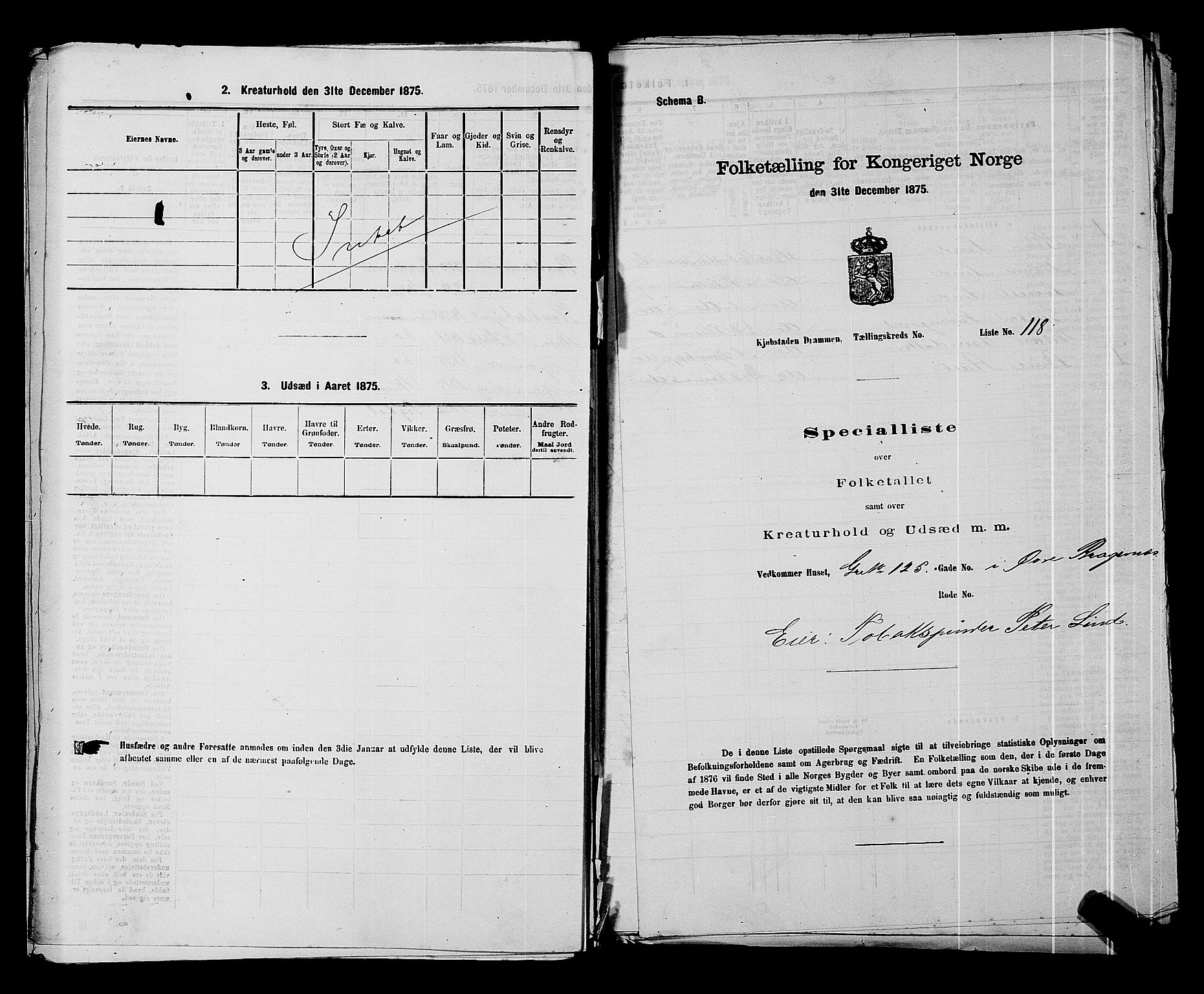 SAKO, 1875 census for 0602 Drammen, 1875, p. 369