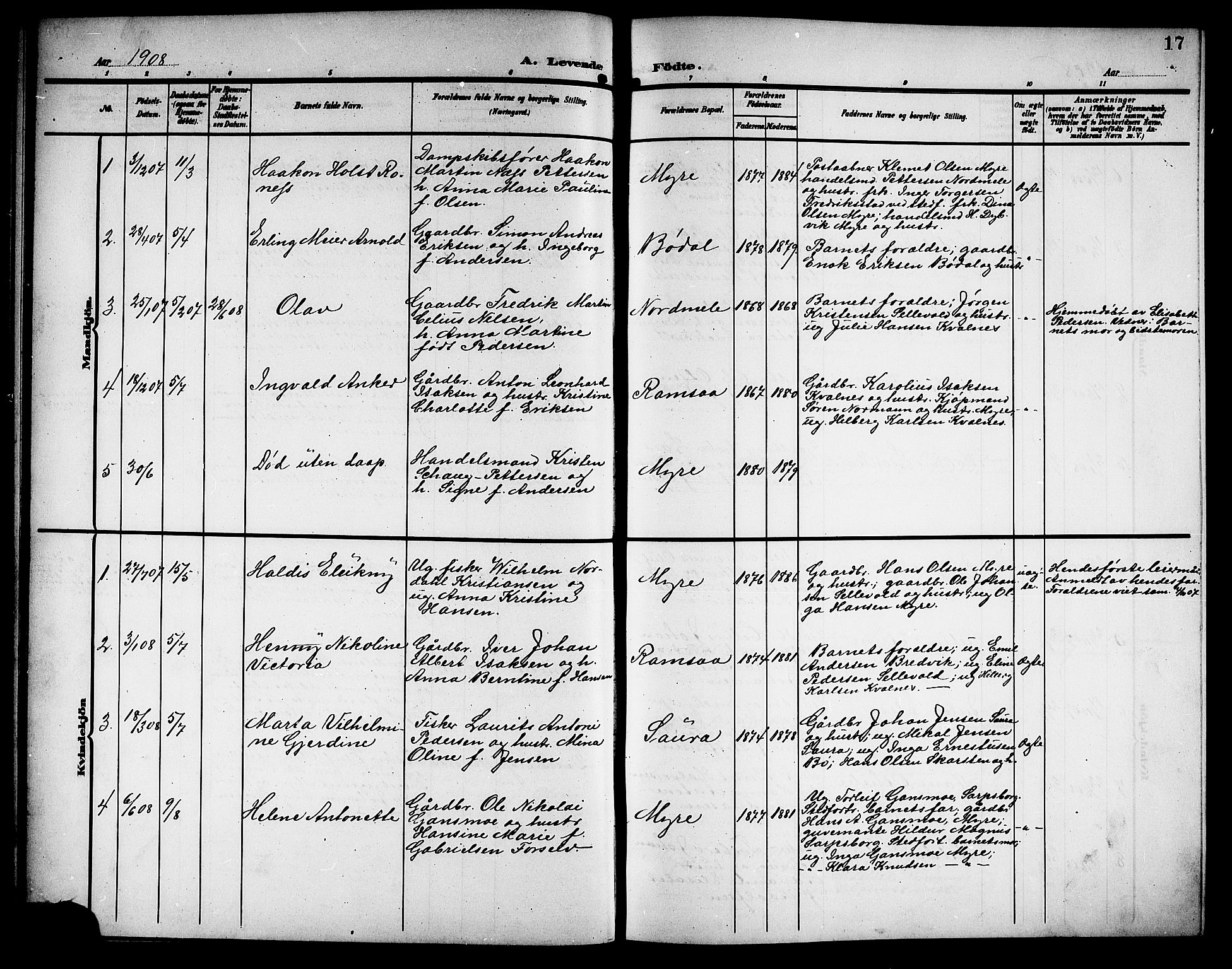 Ministerialprotokoller, klokkerbøker og fødselsregistre - Nordland, AV/SAT-A-1459/897/L1414: Parish register (copy) no. 897C04, 1904-1915, p. 17