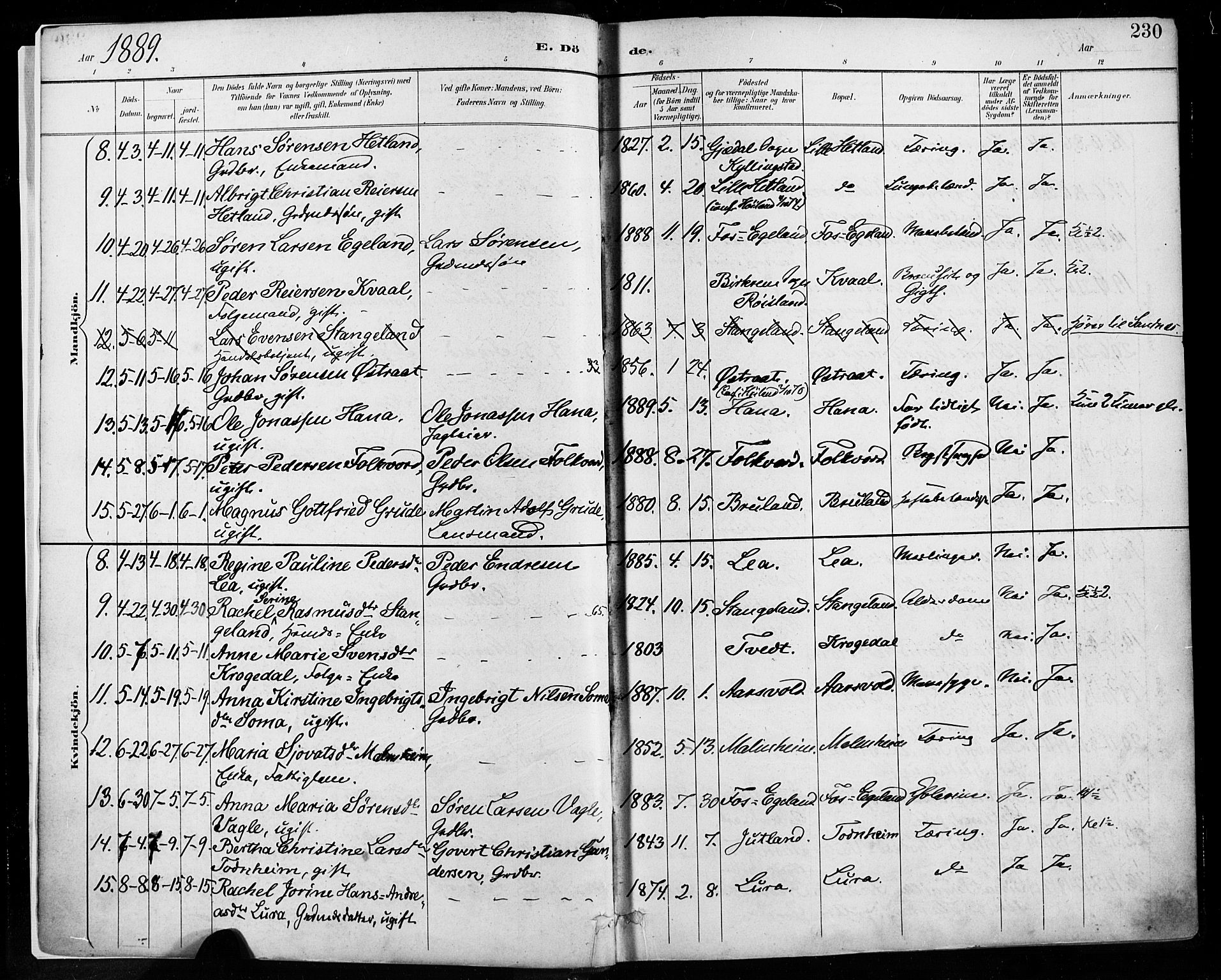 Høyland sokneprestkontor, SAST/A-101799/001/30BA/L0013: Parish register (official) no. A 13.2, 1889-1898, p. 230