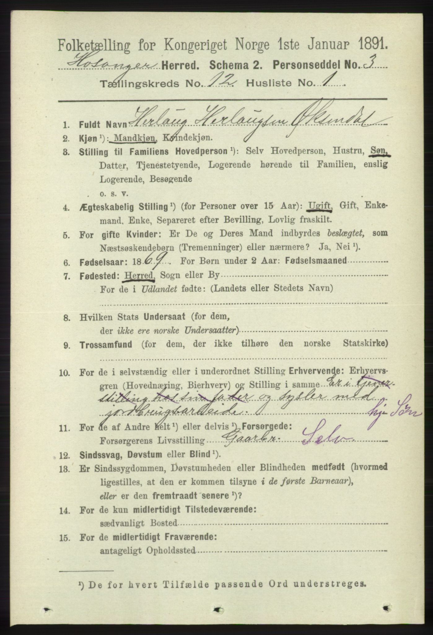 RA, 1891 census for 1253 Hosanger, 1891, p. 4000