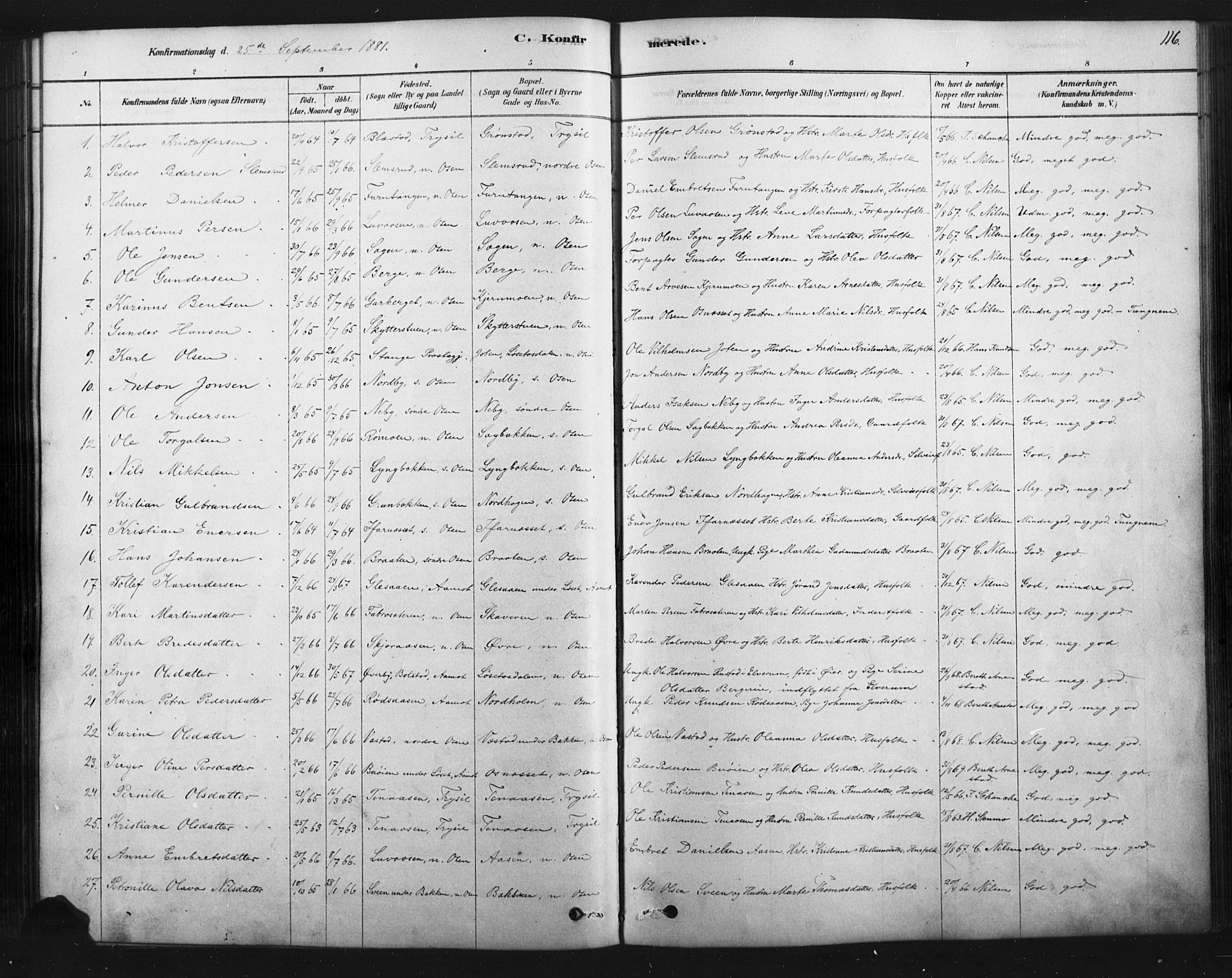 Åmot prestekontor, Hedmark, SAH/PREST-056/H/Ha/Haa/L0012: Parish register (official) no. 12, 1878-1901, p. 116