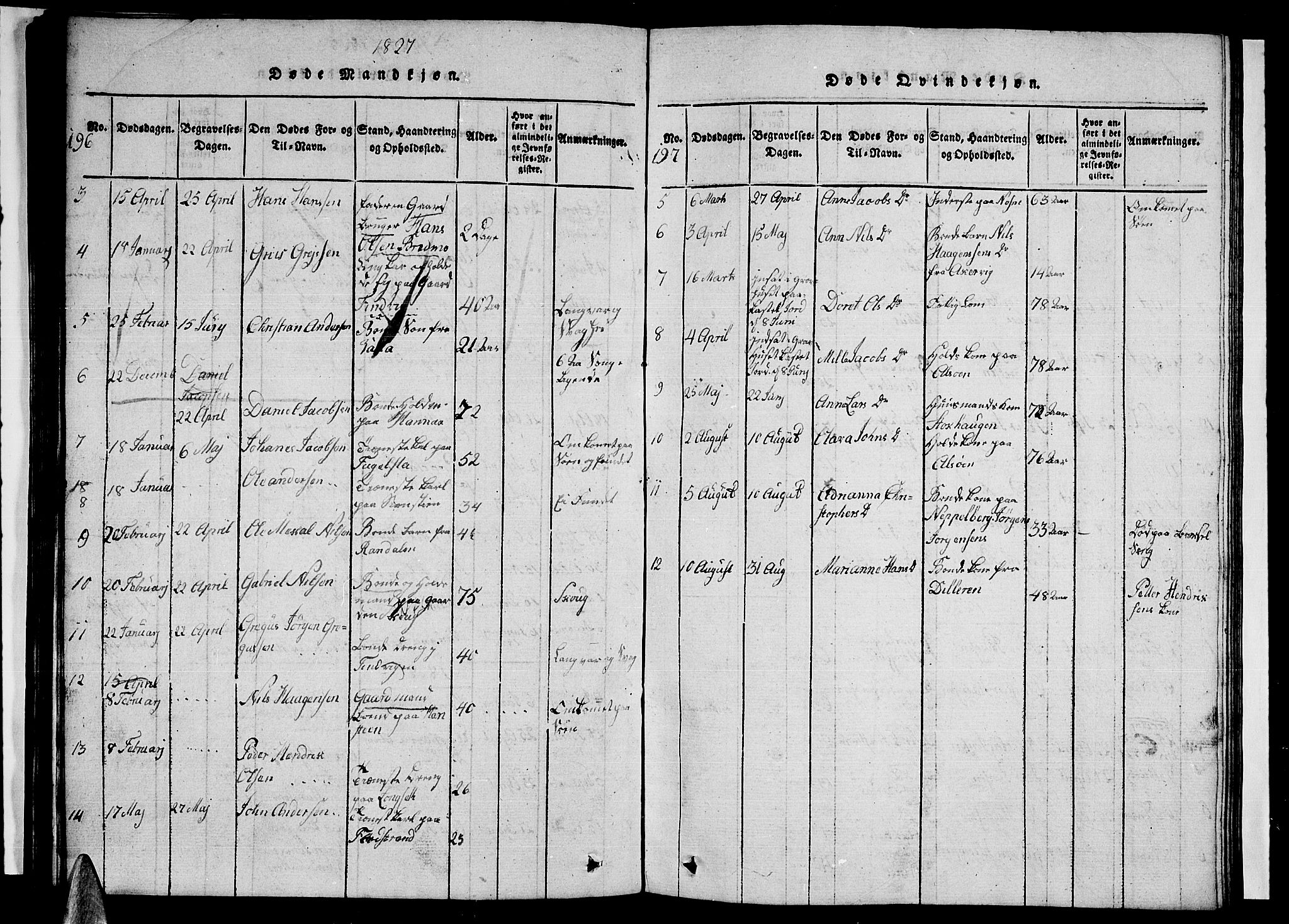 Ministerialprotokoller, klokkerbøker og fødselsregistre - Nordland, AV/SAT-A-1459/838/L0554: Parish register (copy) no. 838C01, 1820-1828, p. 196-197