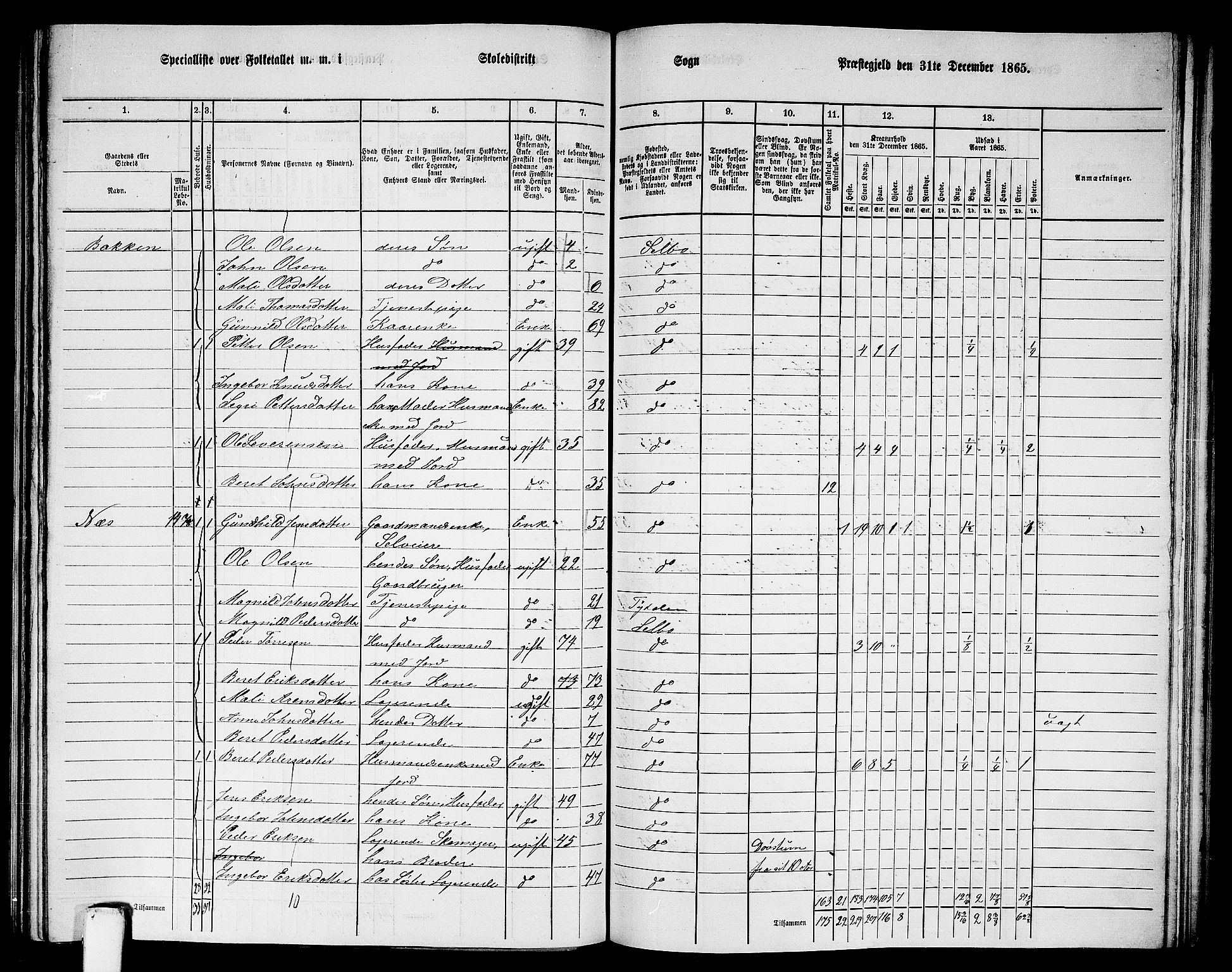 RA, 1865 census for Selbu, 1865, p. 153