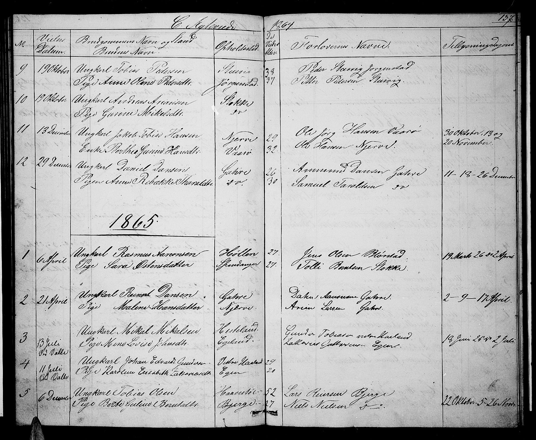 Sør-Audnedal sokneprestkontor, AV/SAK-1111-0039/F/Fb/Fba/L0002: Parish register (copy) no. B 2, 1853-1878, p. 137